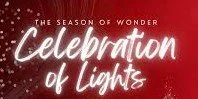 Celebration of Lights Downtown Hastings