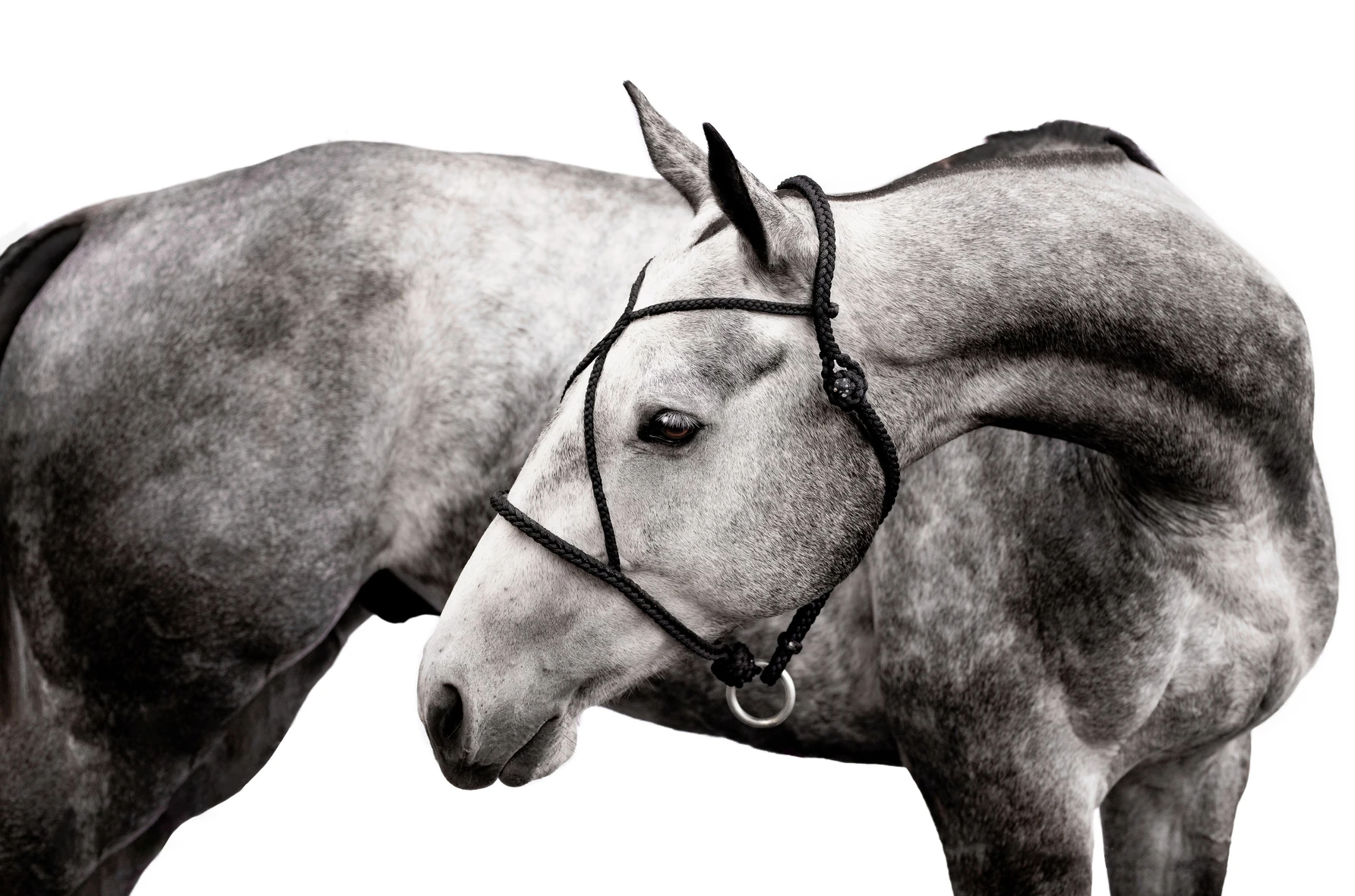 Screenshot 2023-07-16 at 12.27.05 PM.png