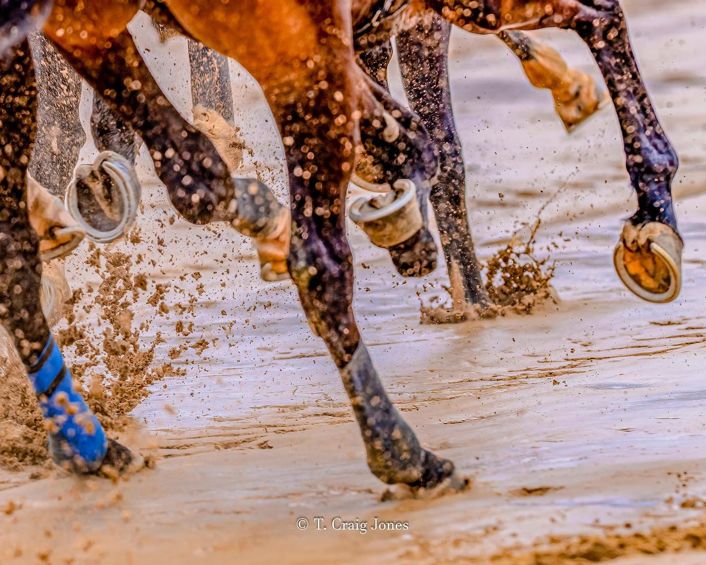 It&rsquo;s anybody&rsquo;s race at the first turn.