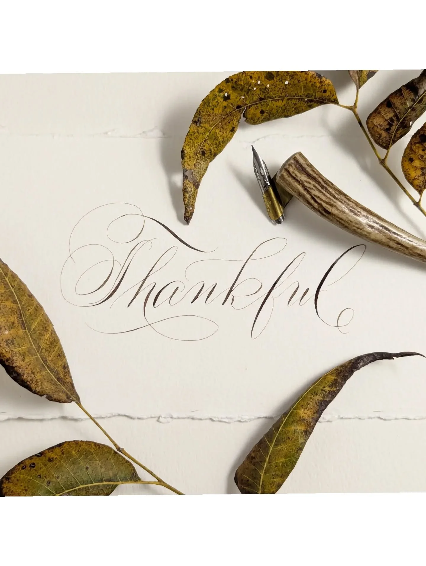 &quot;Thou that hast given so much to me, Give one thing more, a grateful heart&quot;. -George Herbert 

Have a wonderful Thanksgiving!! 🦃💛

Enter His gates with thanksgiving
and His courts with praise. 

Give thanks to Him and bless His name.&nbsp