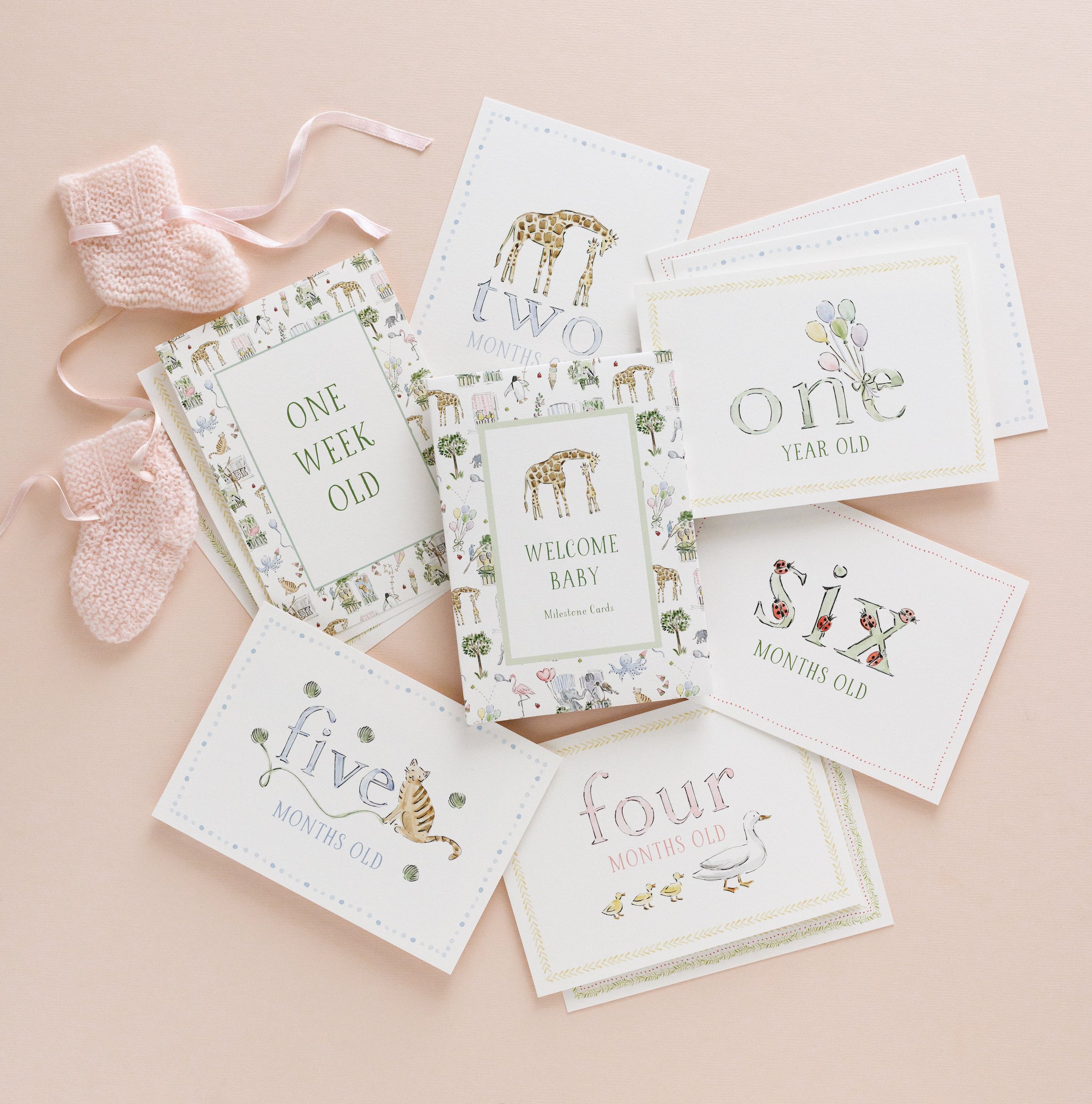 milestone cards for new baby