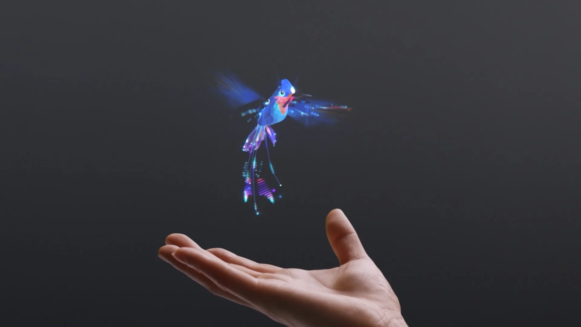 hands_1.4.12.jpg