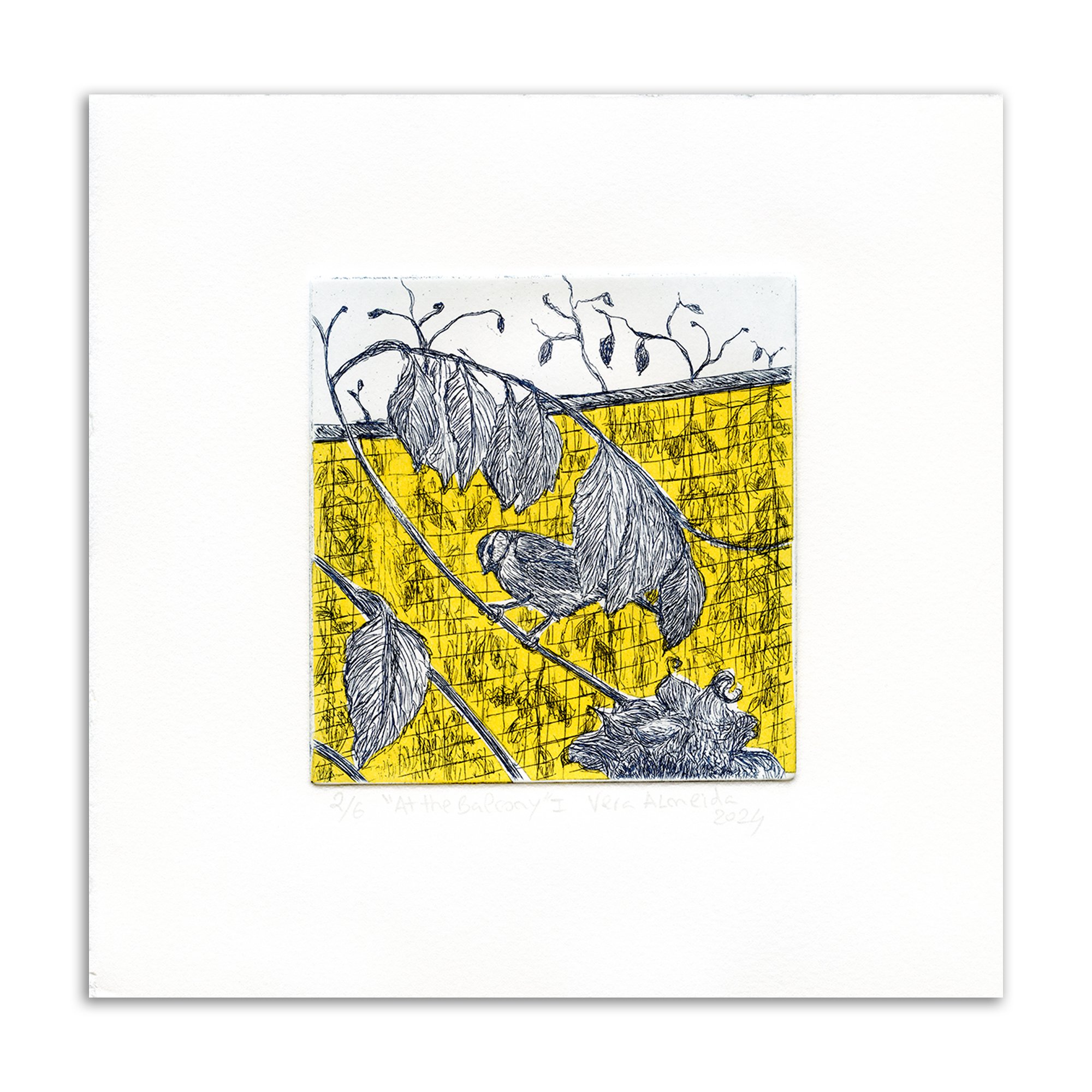 13_Vera_Almeida_Balcony_I copy.jpg