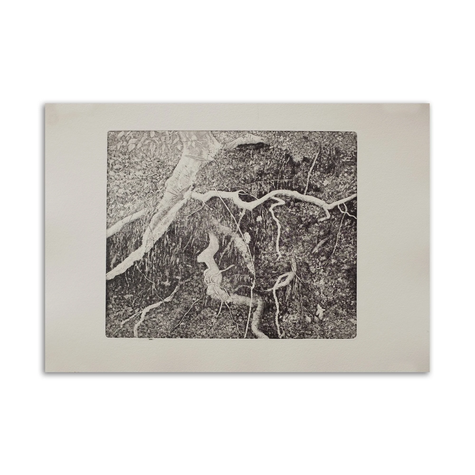 Aquatint and etching engraving by Rocaline