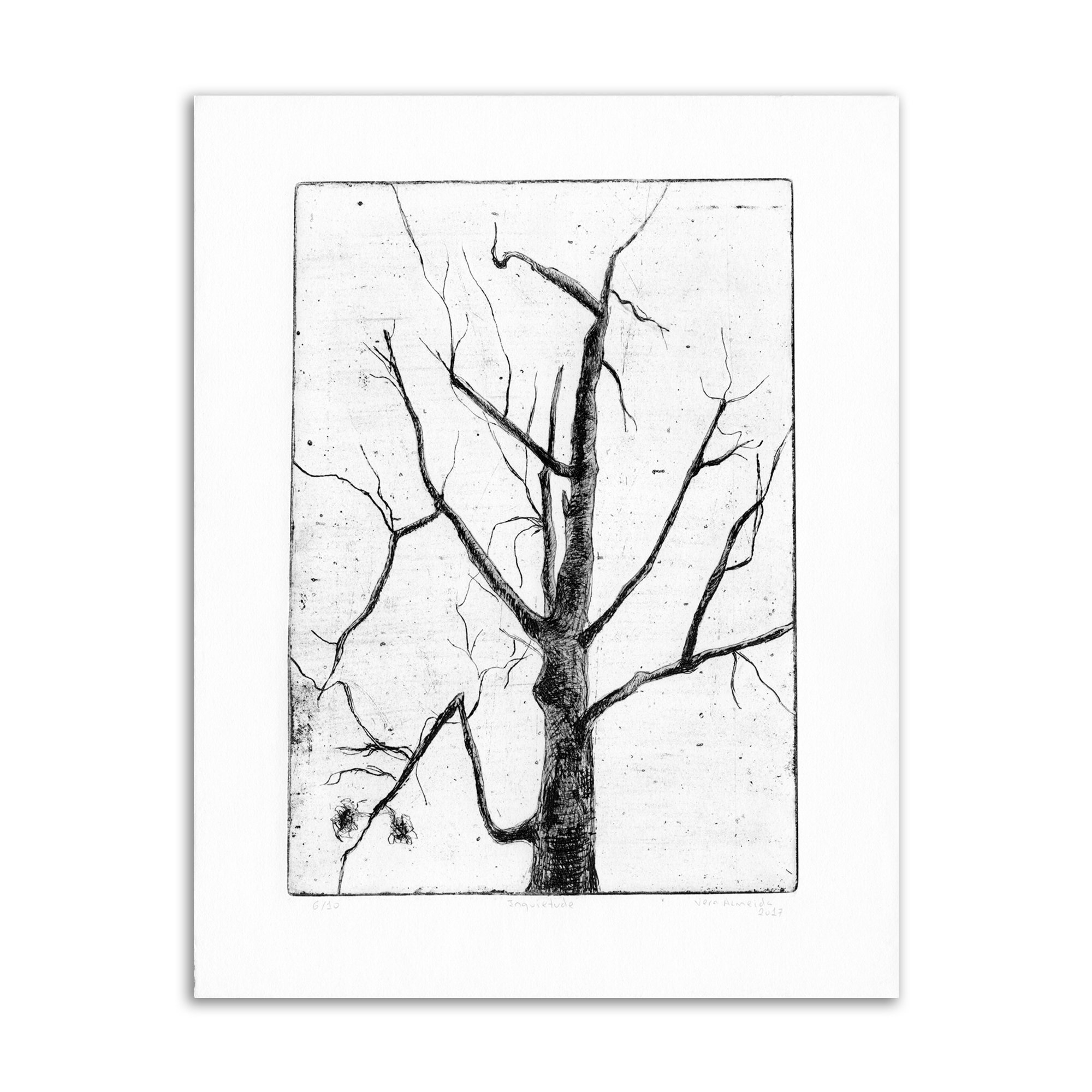 Inquietude - Printmaking by Vera Almeida