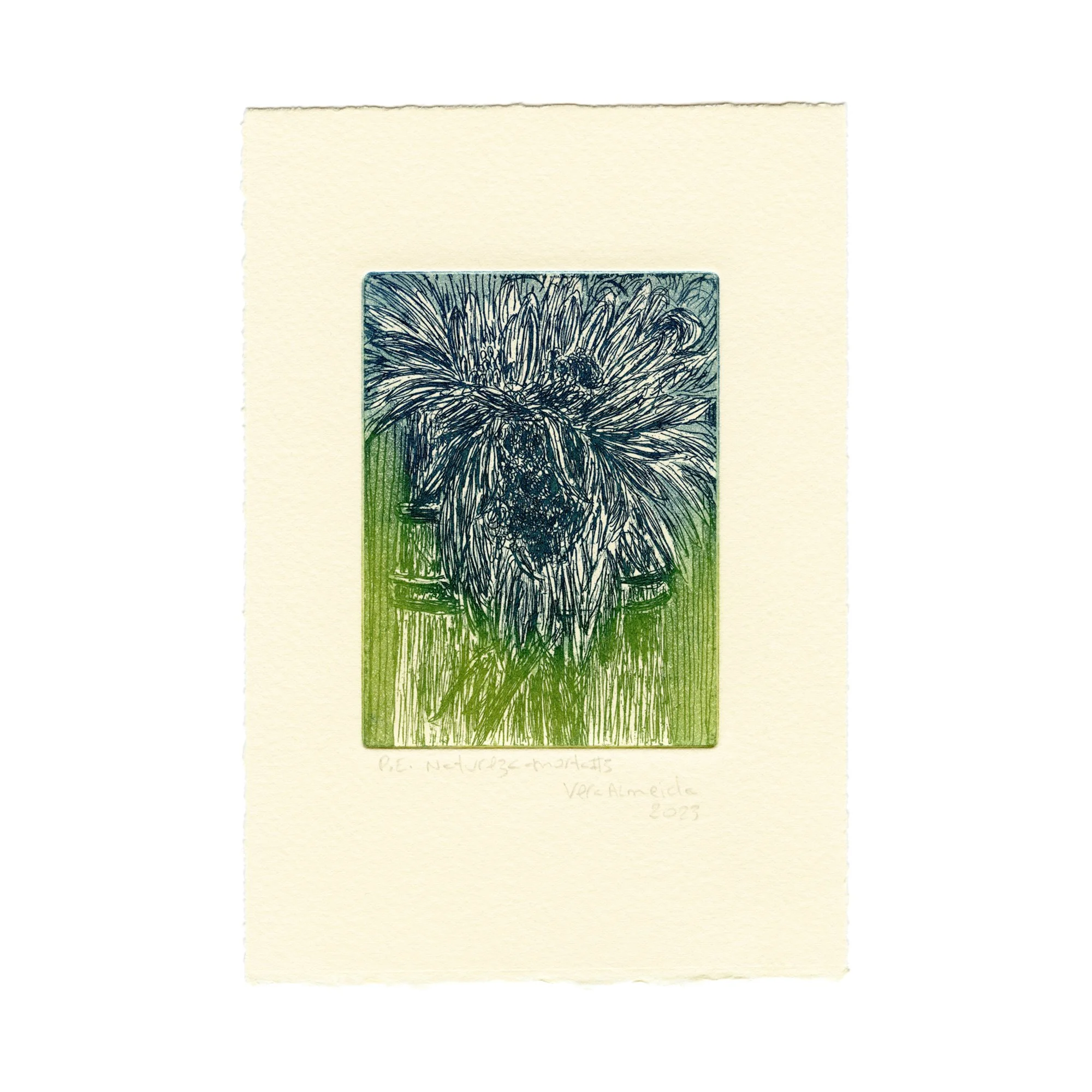 Natureza-morta #5 - Printmaking by Vera Almeida