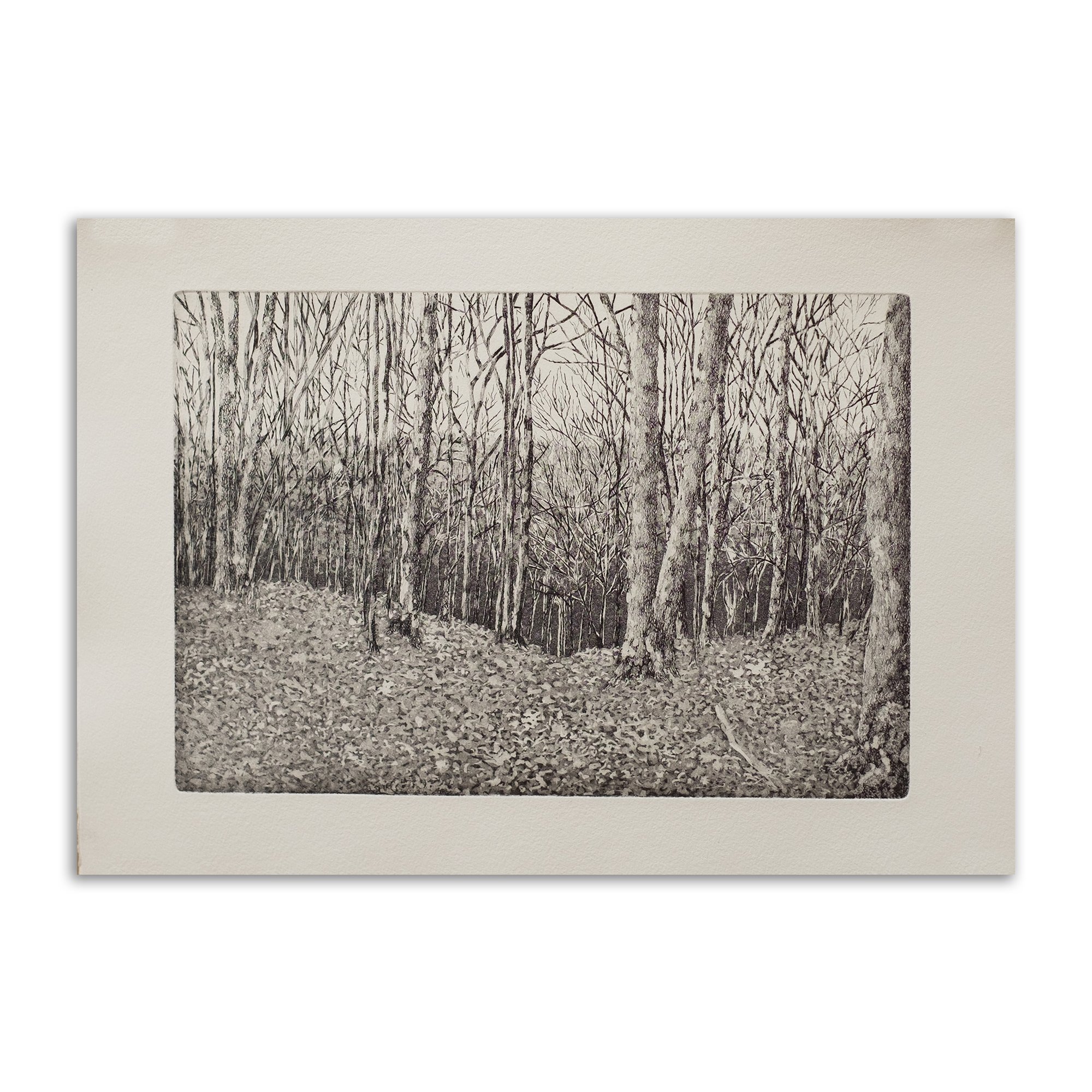 Aquatint and etching engraving by Rocaline