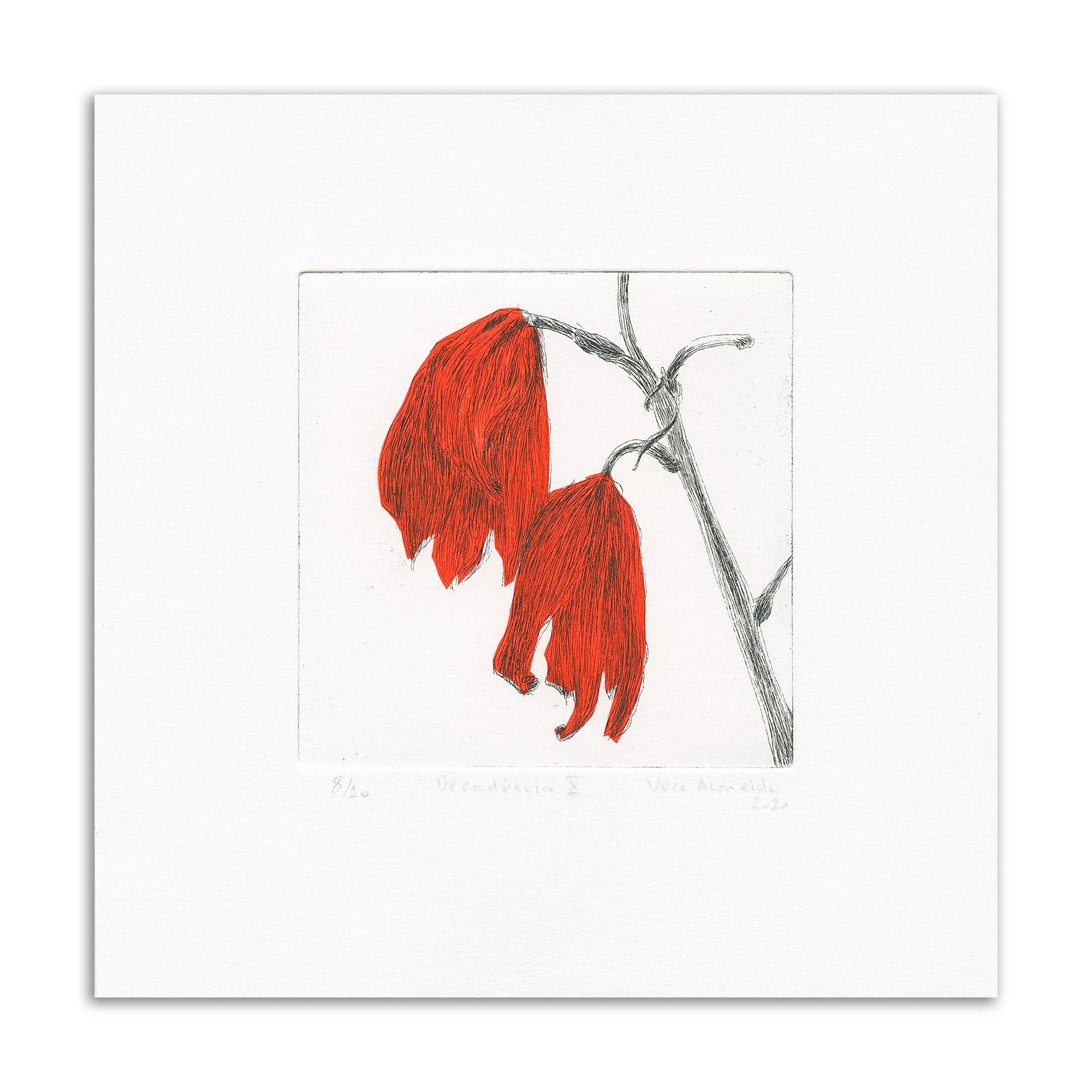 Decadência X - Printmaking by Vera Almeida