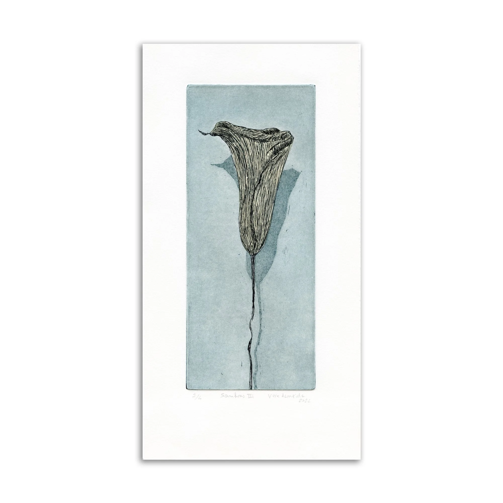 Sombras III - Printmaking by Vera Almeida