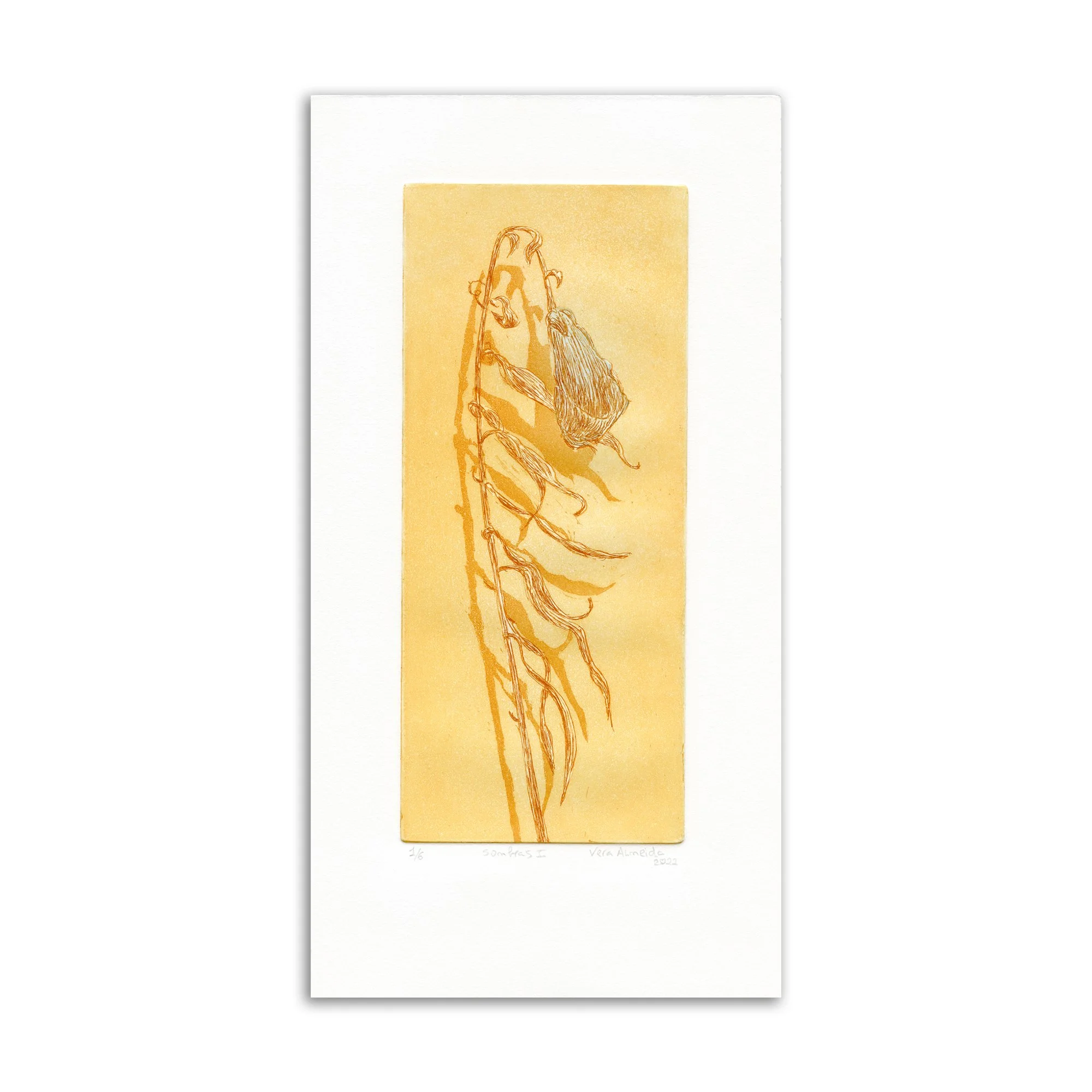 19_Vera_Almeida_Sombras_I copy.jpg