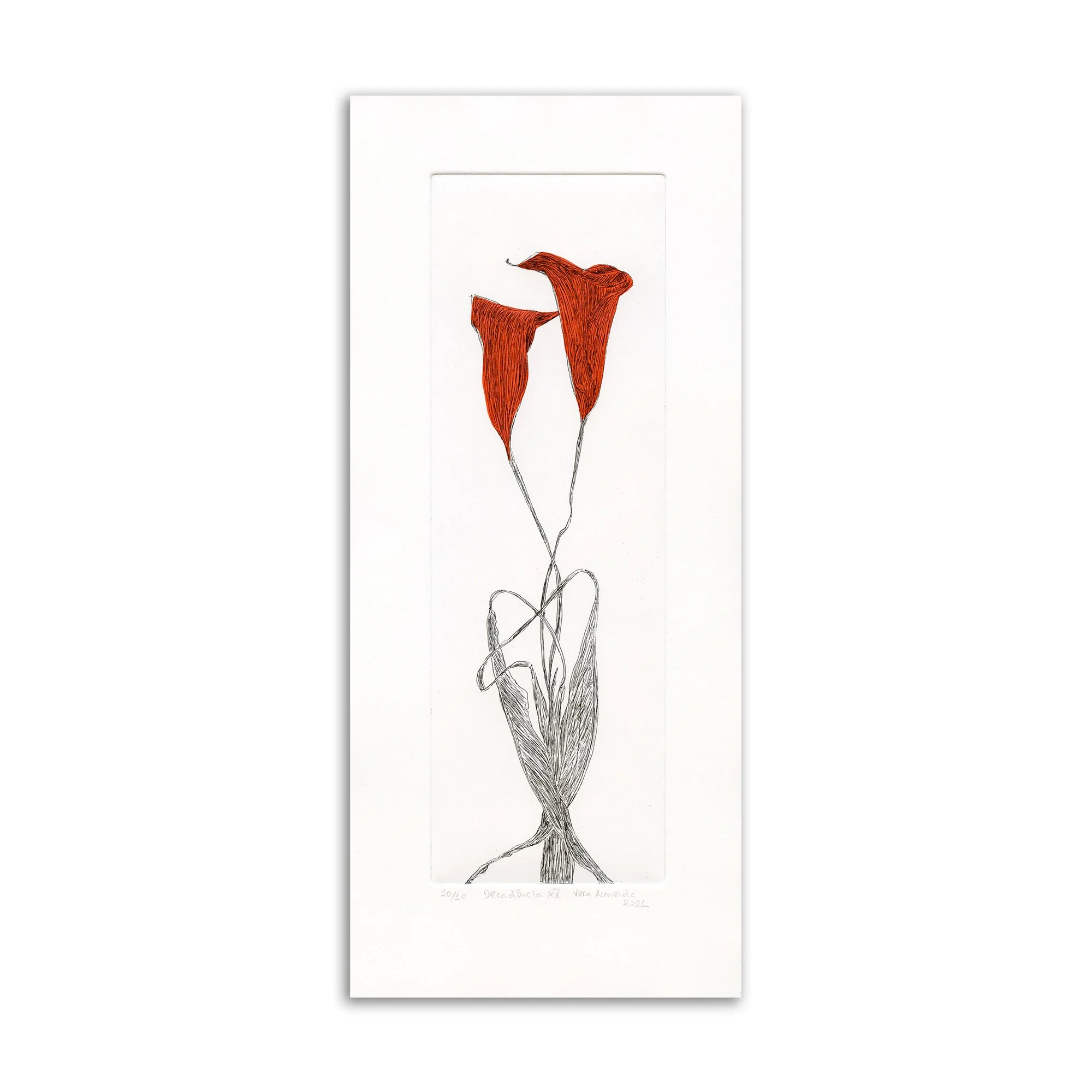 Decadência XV - Printmaking by Vera Almeida