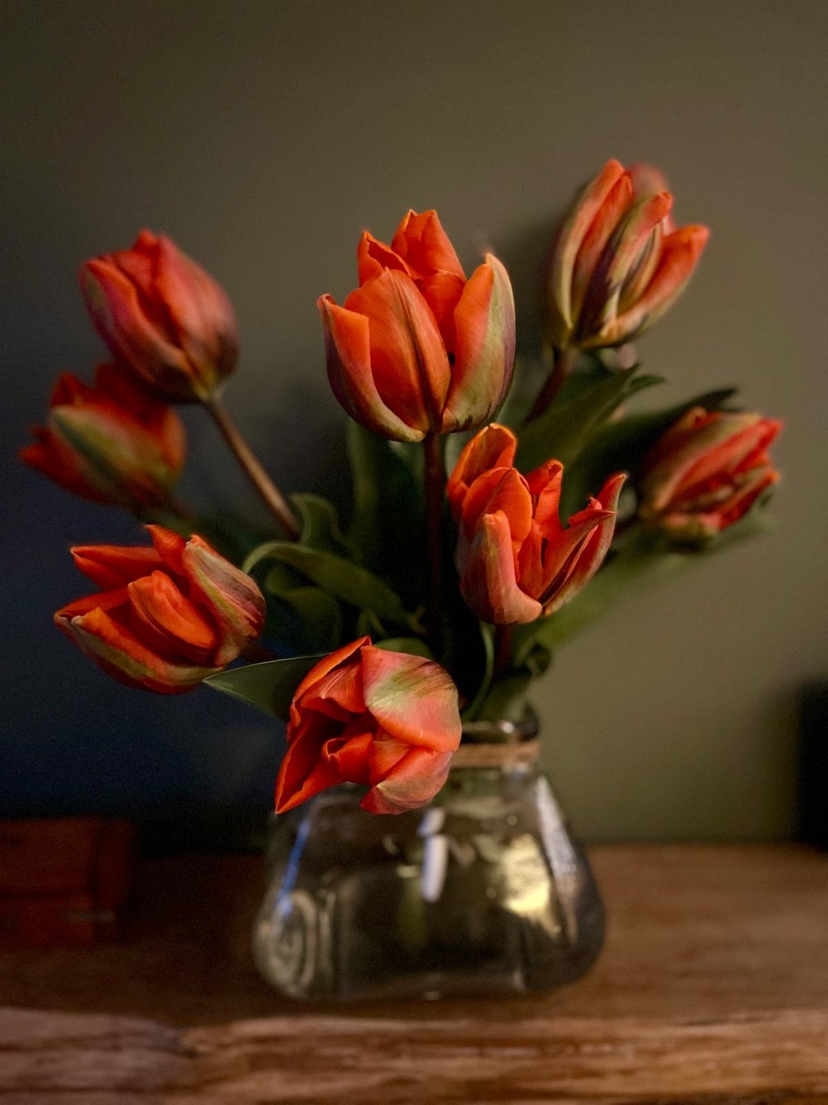 Large Tulip bunch Preorder