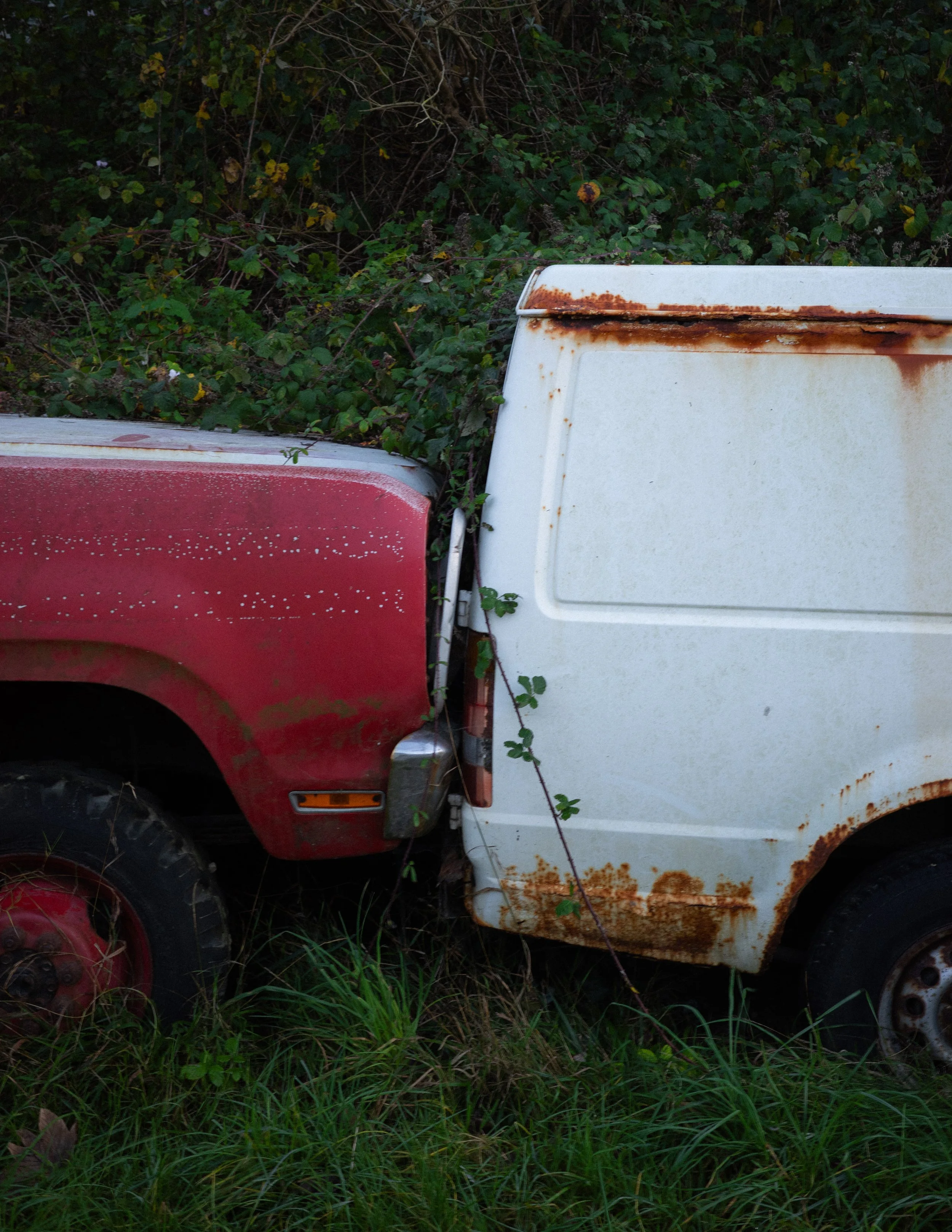 R0000605.jpg