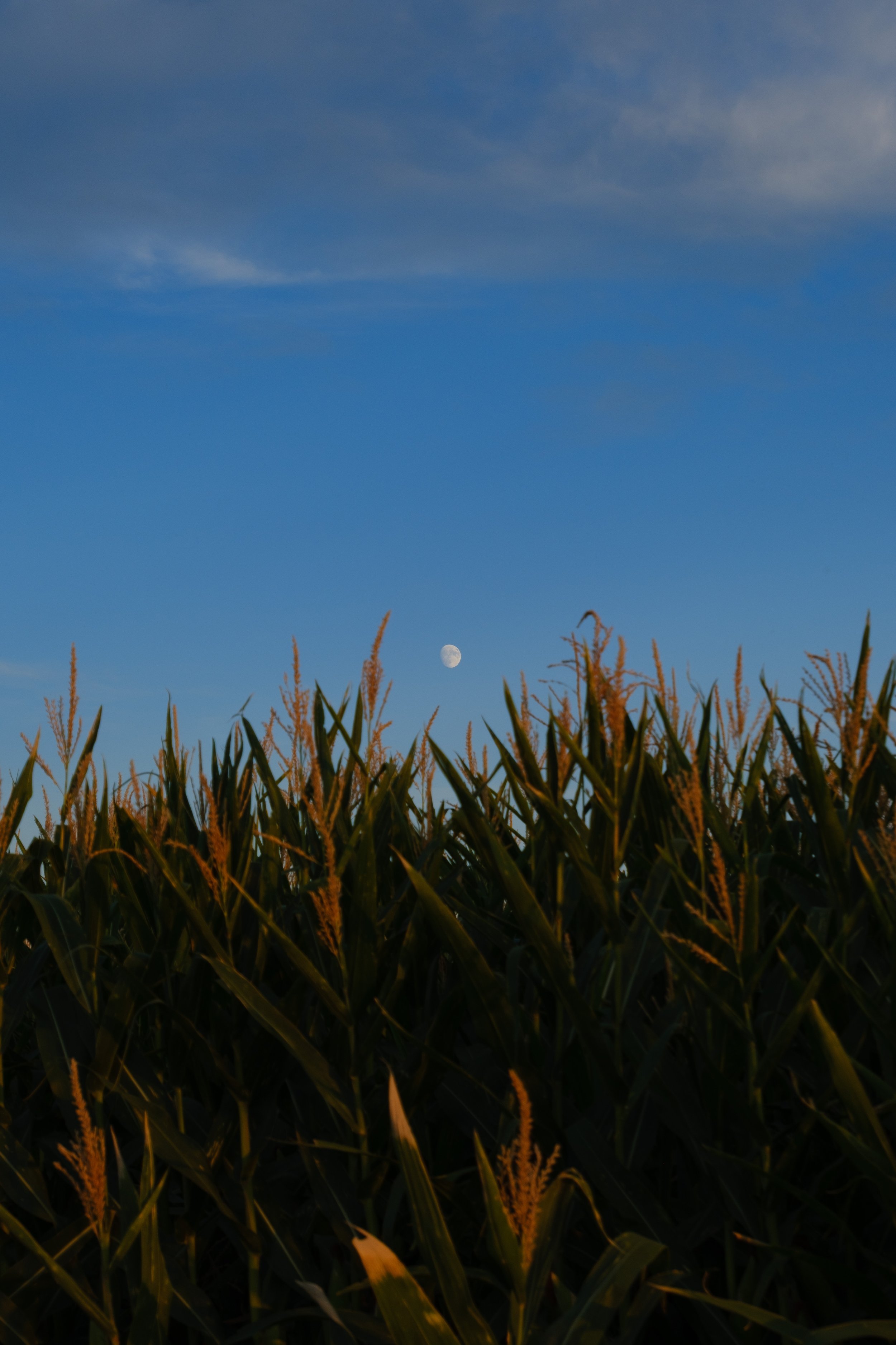 DSCF4651.jpg