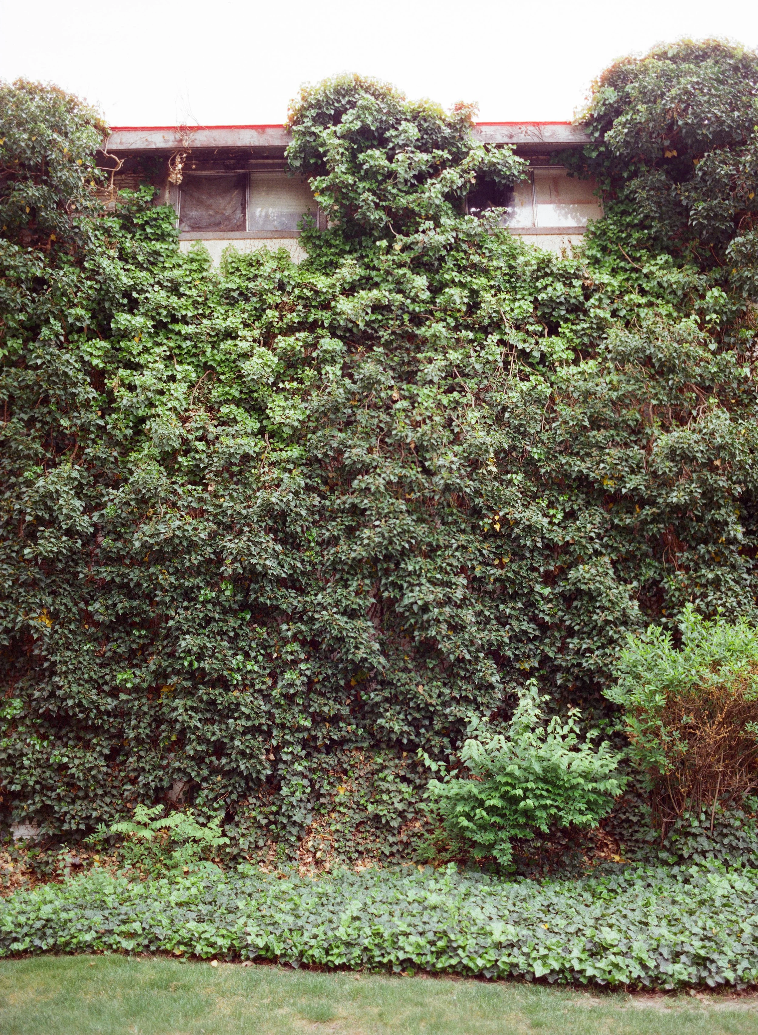 400D-1.jpg