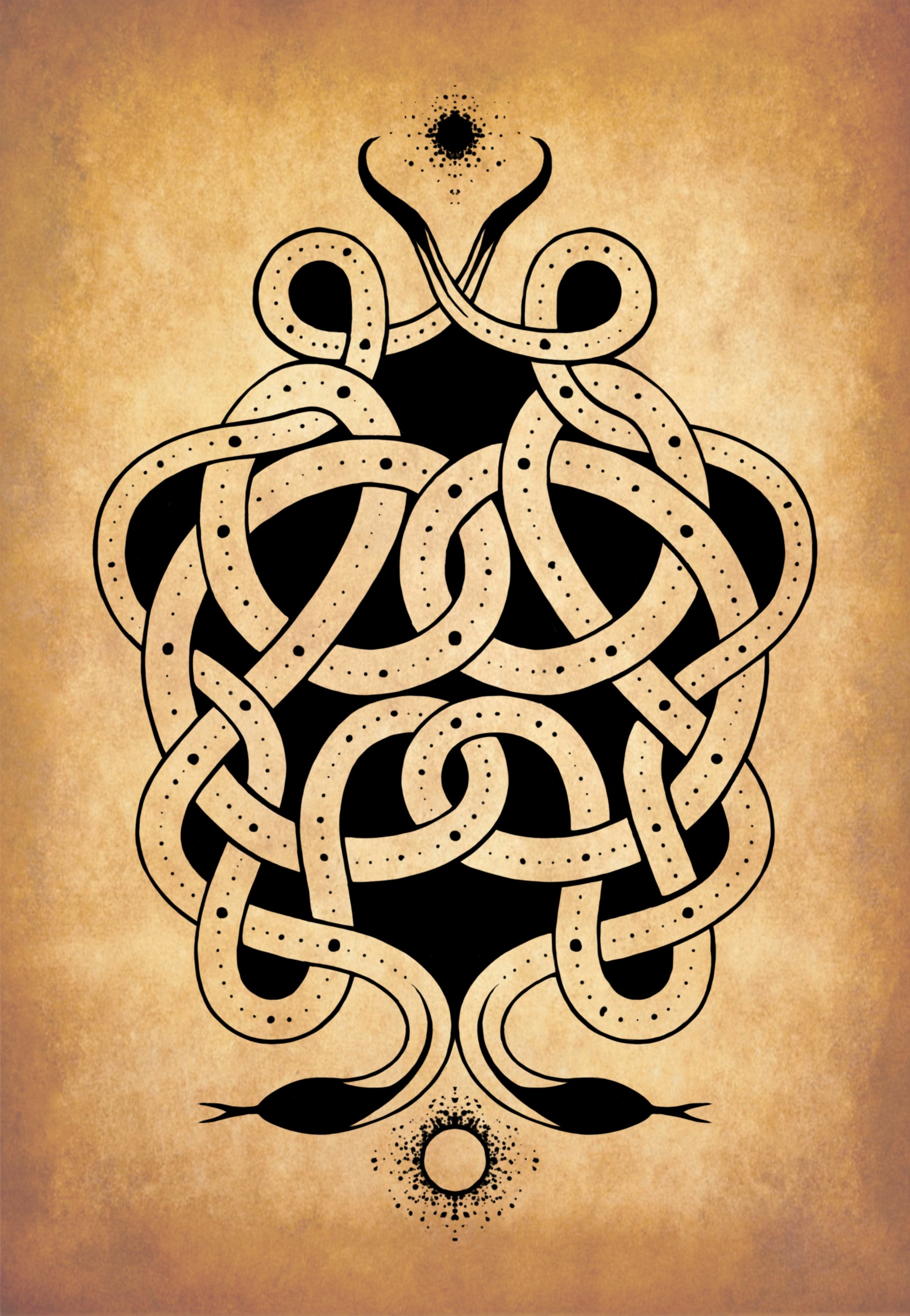 Celtic Serpent Knot 1