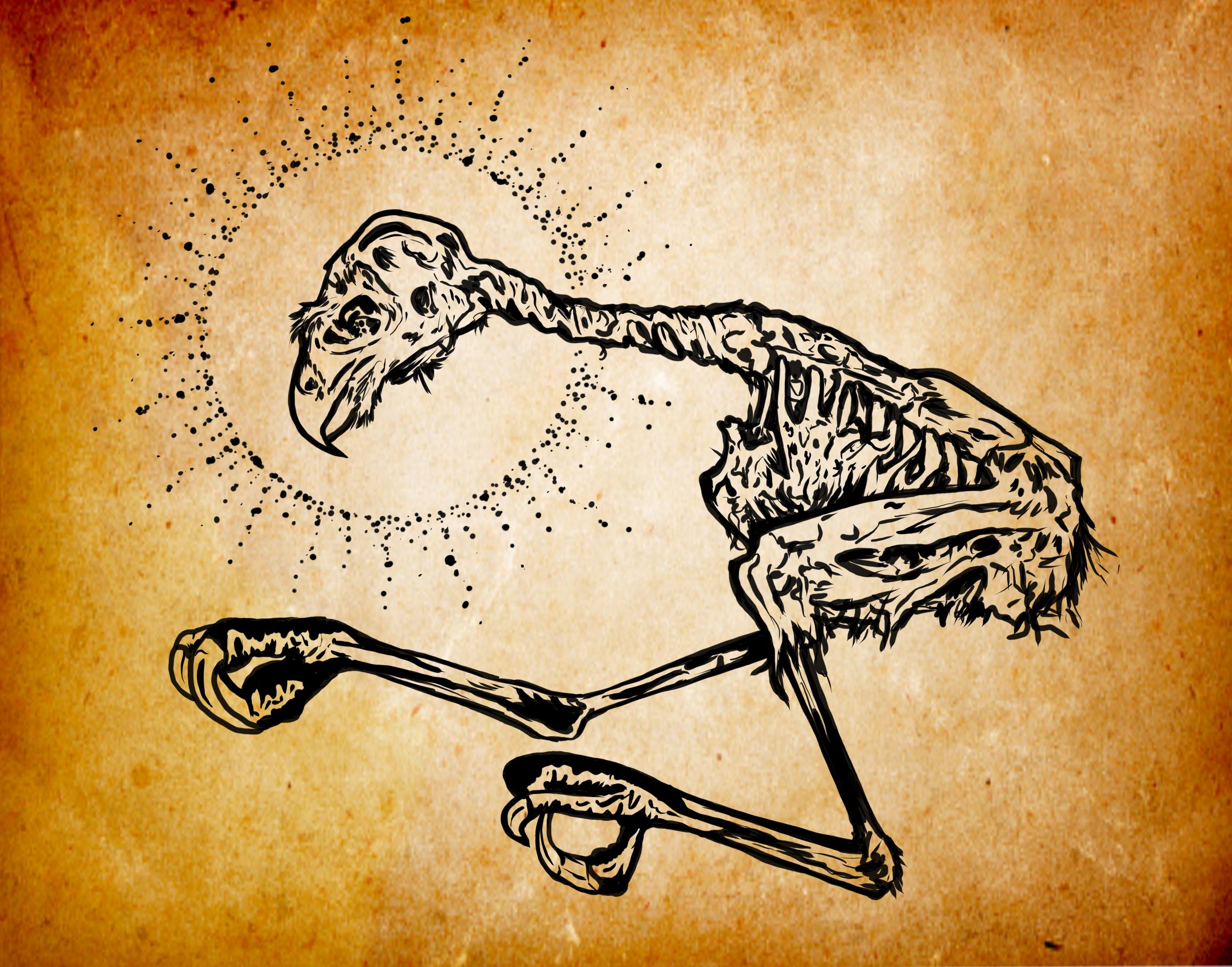 Mummified Red-tailed Hawk