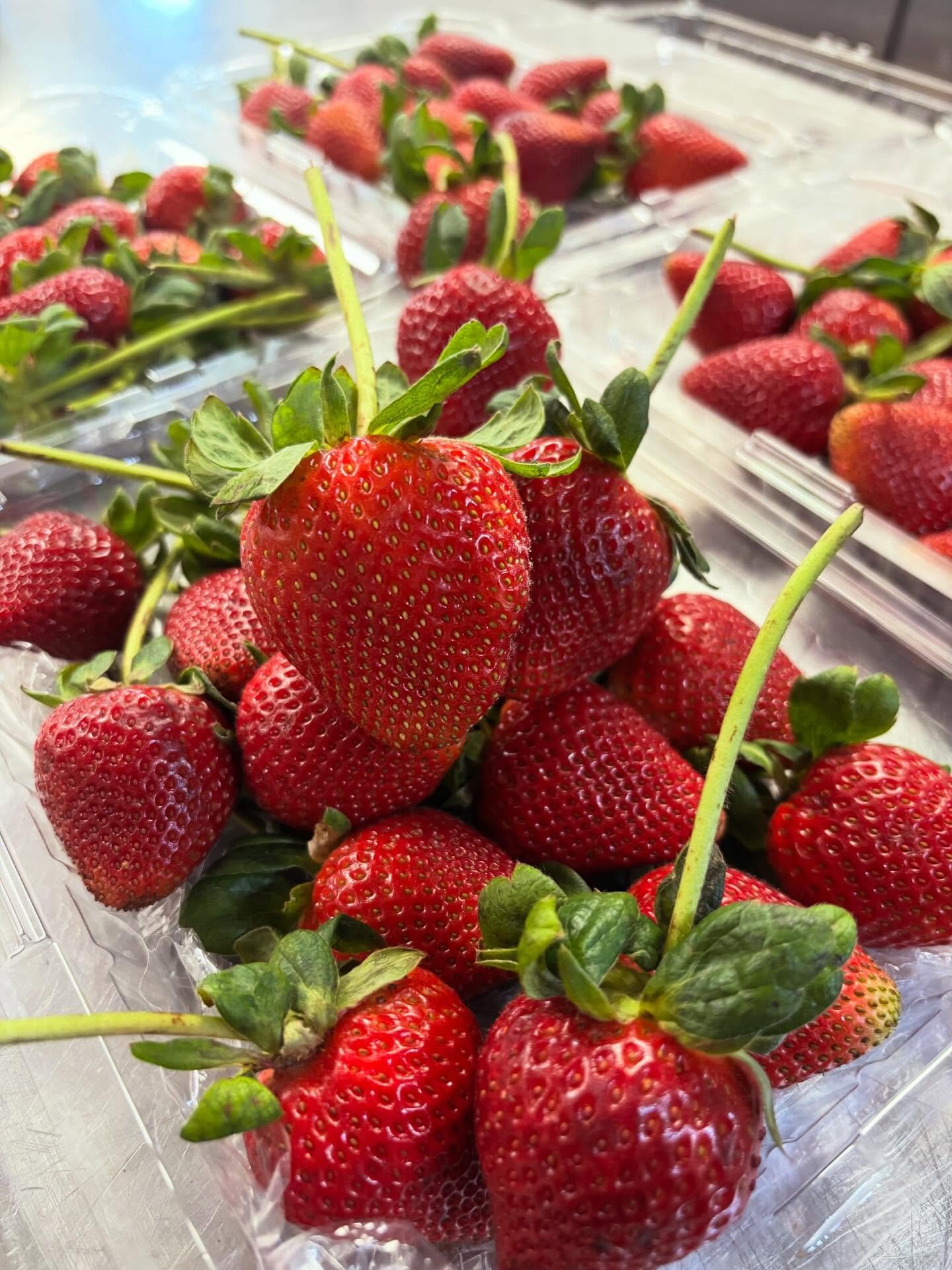 Getting everything cute for your valentine. Excited to dip these amazing strawberries. We were able to get our hands on these gorgeous organic long stems. We will be dipping in callebaut dark and ruby chocolate - perfect.
🍓 🍫💝