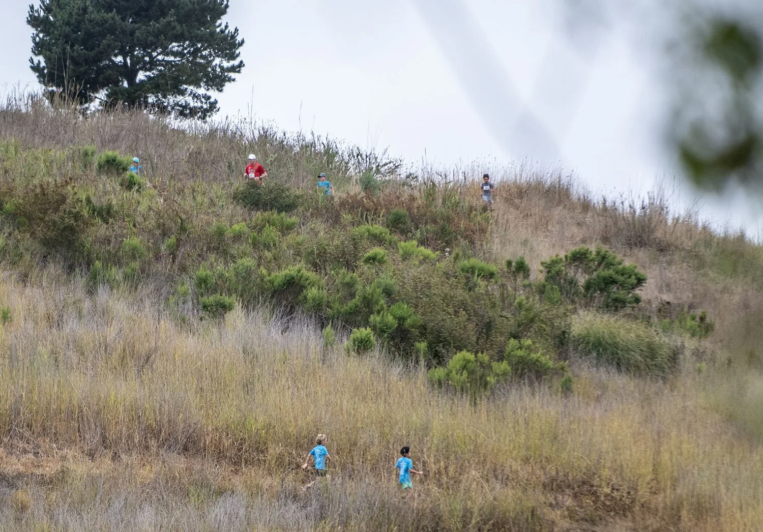 Semana Nautica 4th of July Run