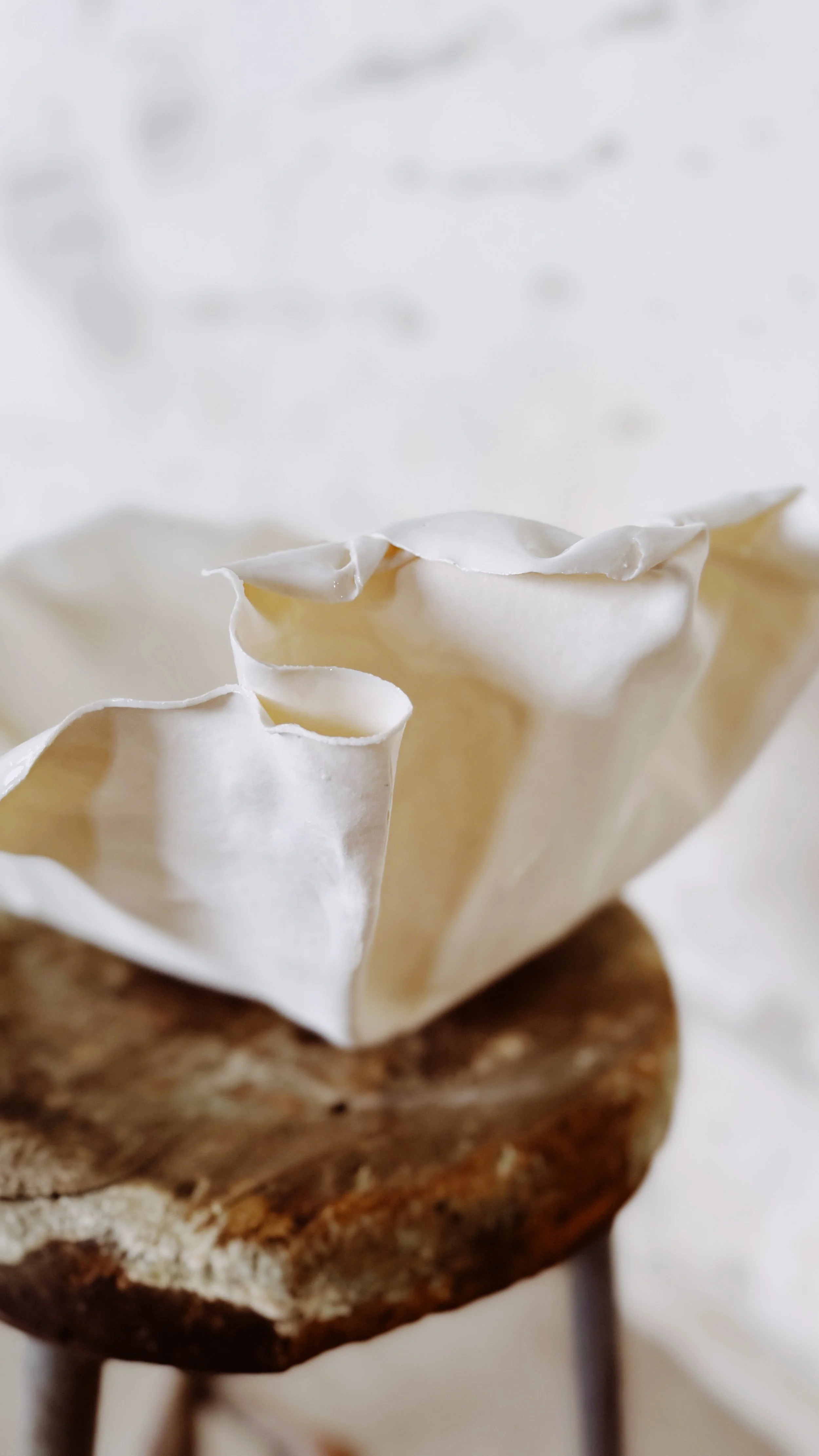 paper thin procelain bowl tamaccio ceramics.jpg