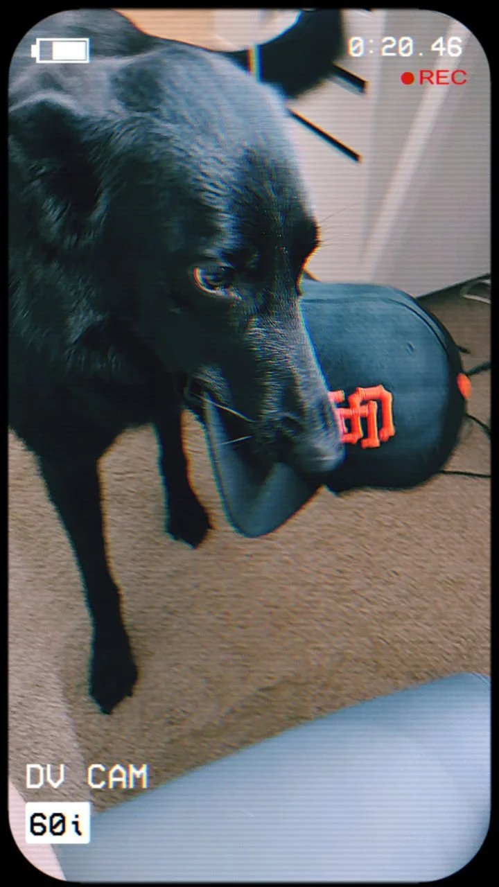 Go #behindtheseams with me and Freyja as we customize a #sfgiants 2015 Memorial Day jersey