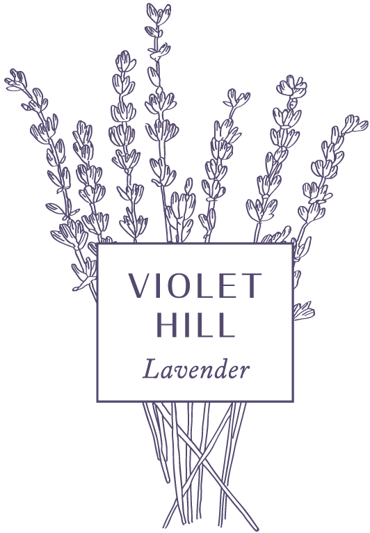 Violet Hill Lavender