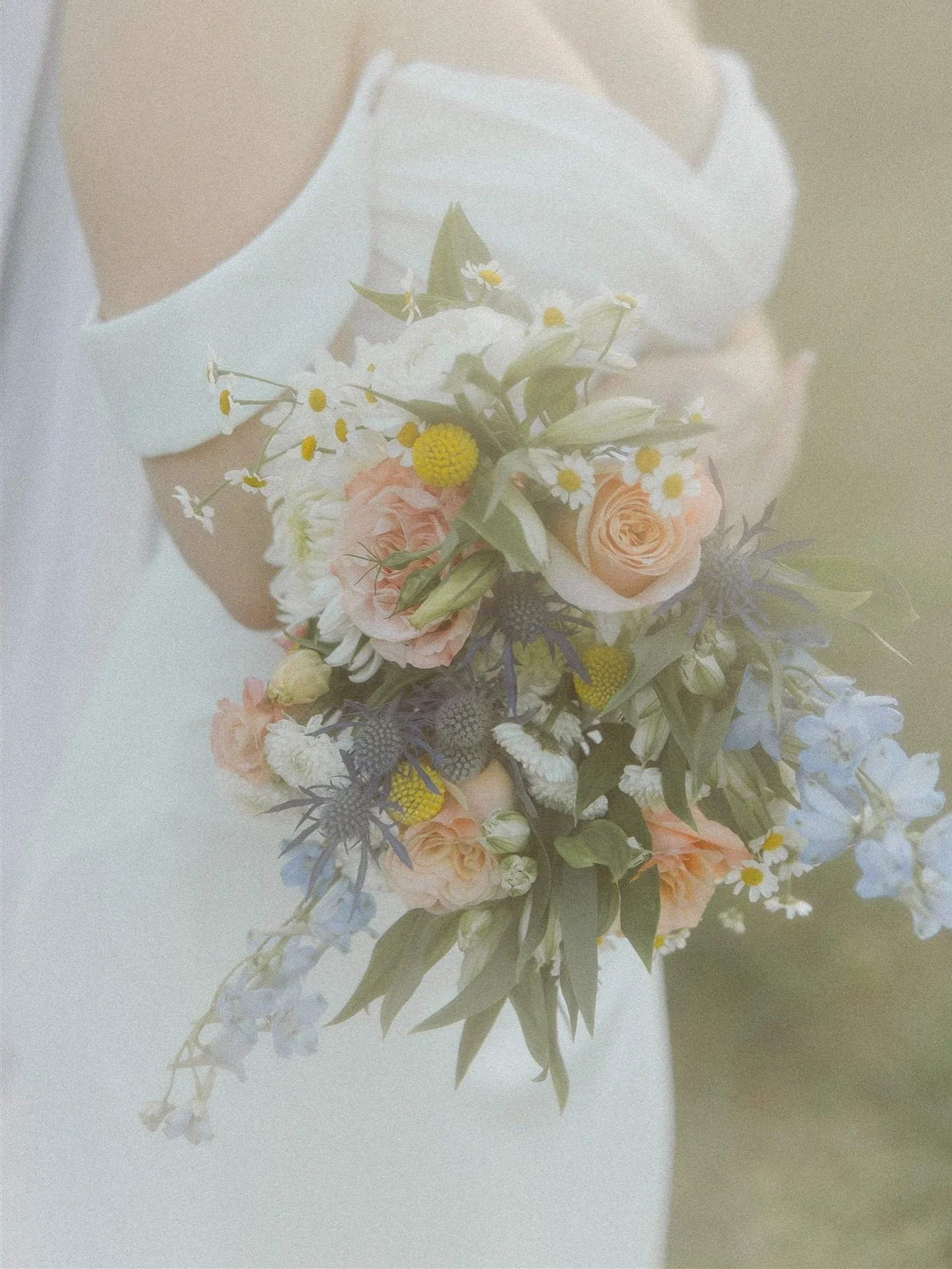 Soft blooms. Still moments. 🌼