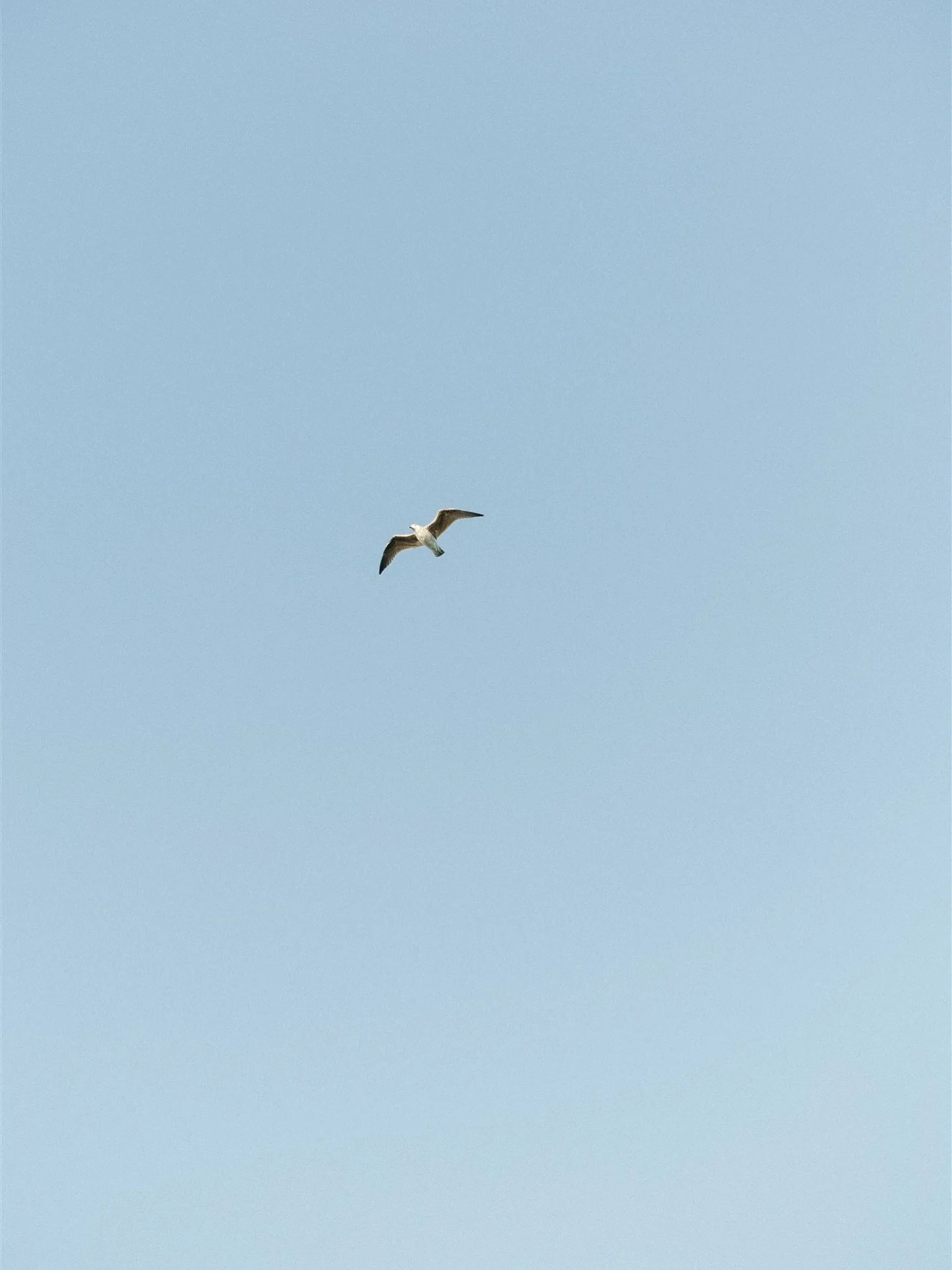 I love including shots of the sky in a wedding gallery. It&rsquo;s details like this that help tell the story of your love. What the sky looked like the day you said &ldquo;I Do&rdquo; to your person.

#weddingphotography #wilmingtonnc #wrightsvilleb