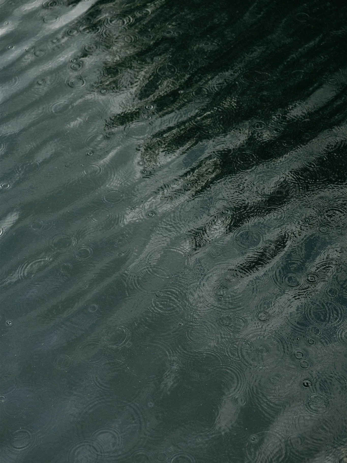 a little rain, a lot of magic!

Venue: @splendorpond
Planner: @downsouthcelebrations
Rings: @danasfinejewelry @manlybands
Invitations: @theknot @canva
Dress: @tullebridal_lkn
Suit: @menswearhouse
H&amp;MU: @beauty.by.allir
DJ: @cltfotofun
Florist: @b