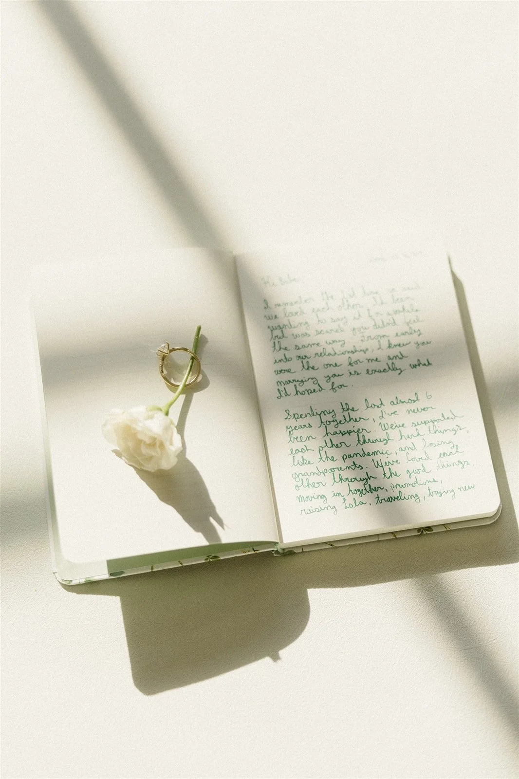 TPC 2 copy_websize.jpg