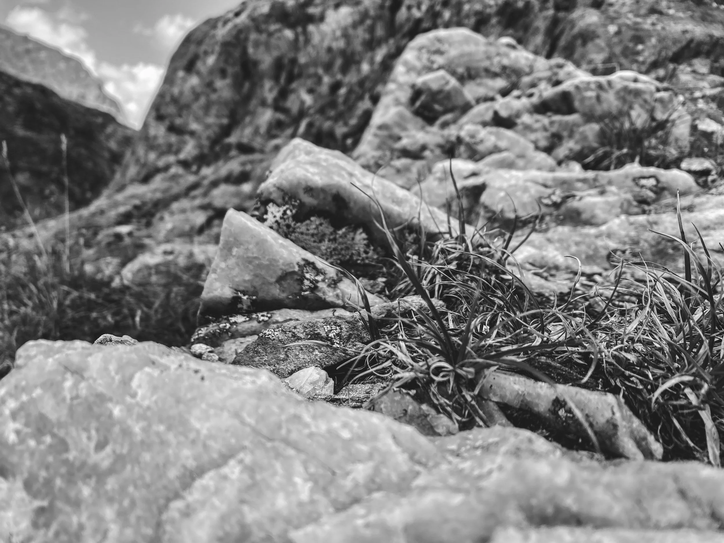 IMG_8219-Enhanced.jpg