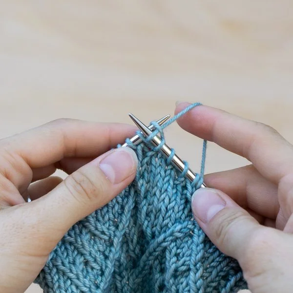 RT/LT Right Twist and Left Twist Chicory Sticks