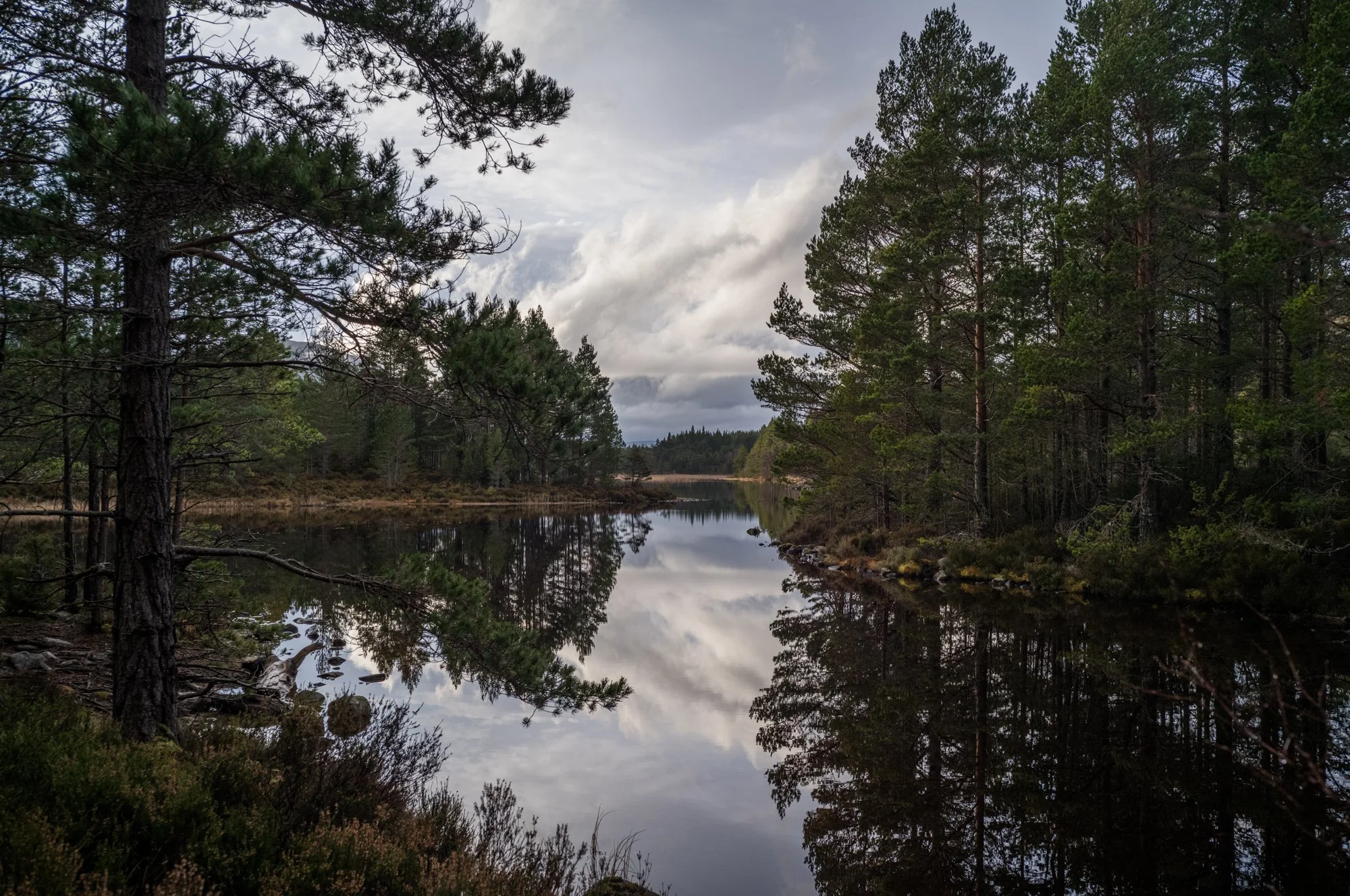 L1005634.jpg