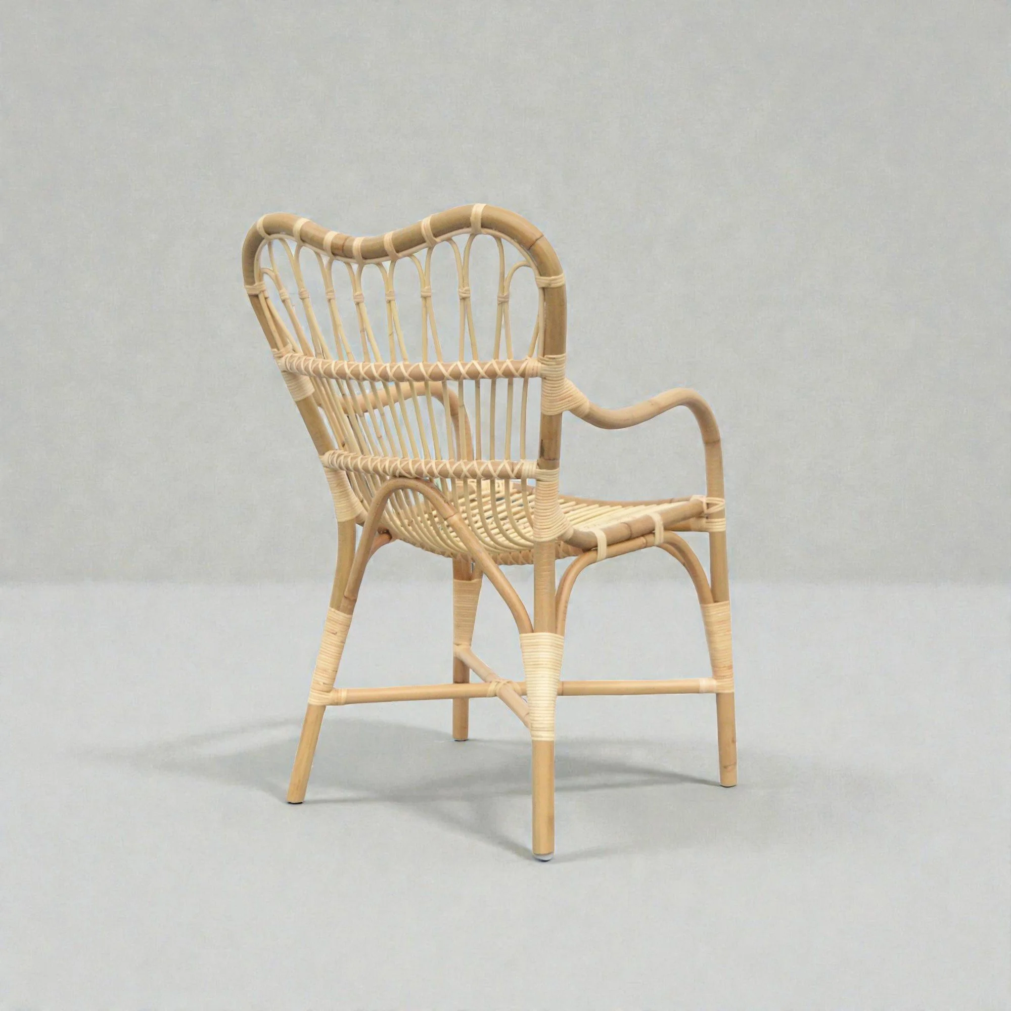 01.21640 ARMCHAIR - back view-Photoroom.jpg