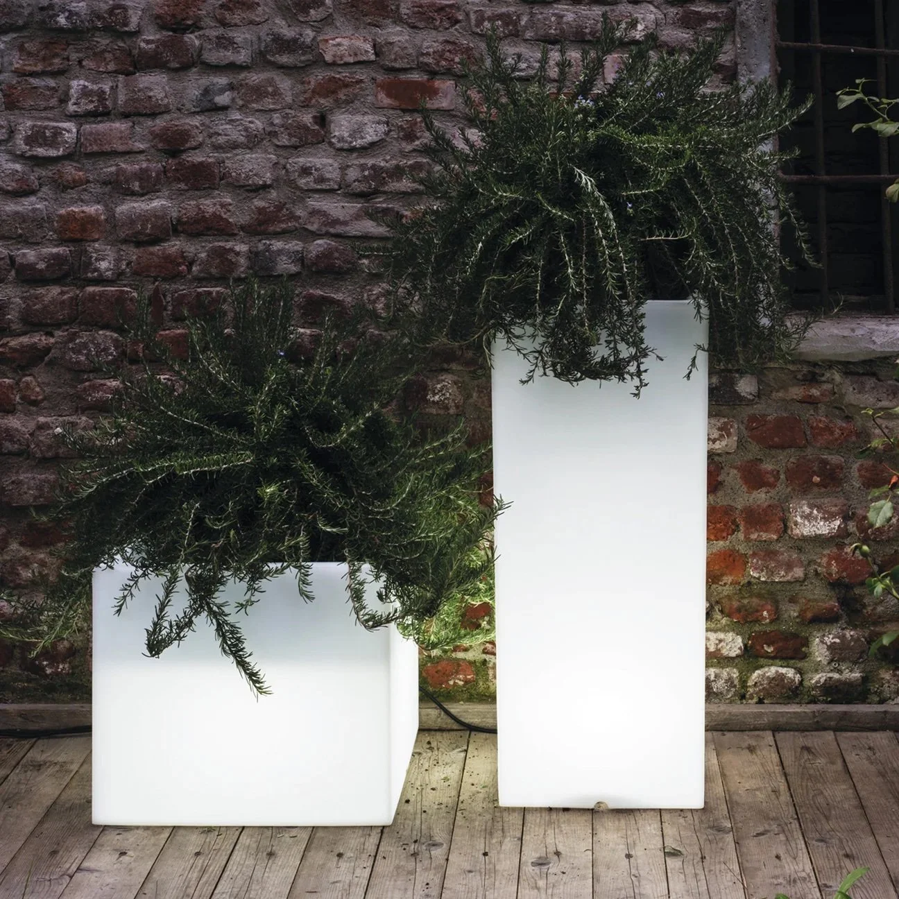 Cubotti_lighted_370_LR-NT_335LR-NT_1296x.jpg