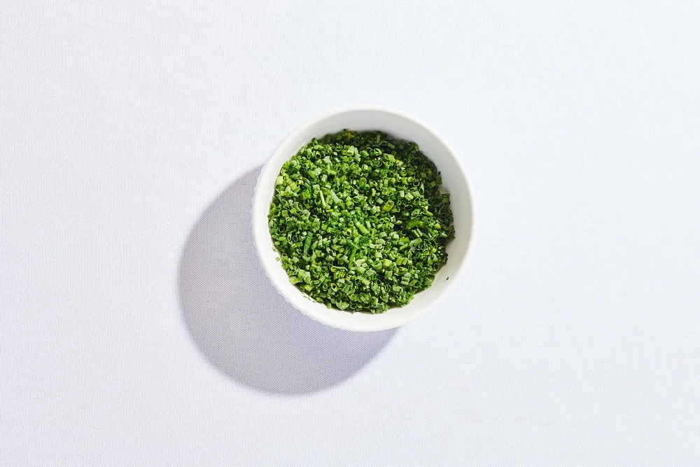 Zero Zero Handmade Pasta