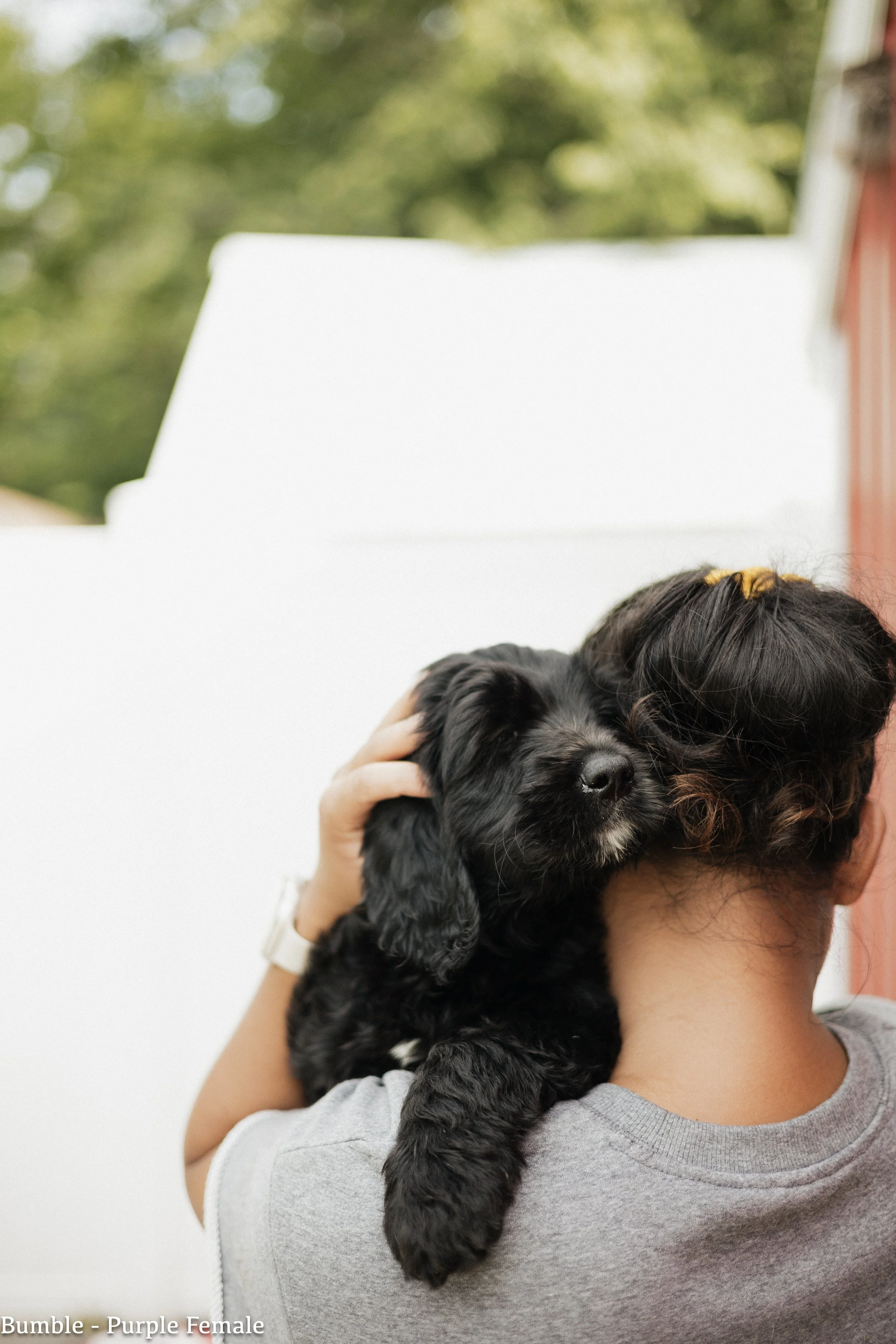 Our Lifesaving Puppy Call “Puppy Puppy Puppy”
