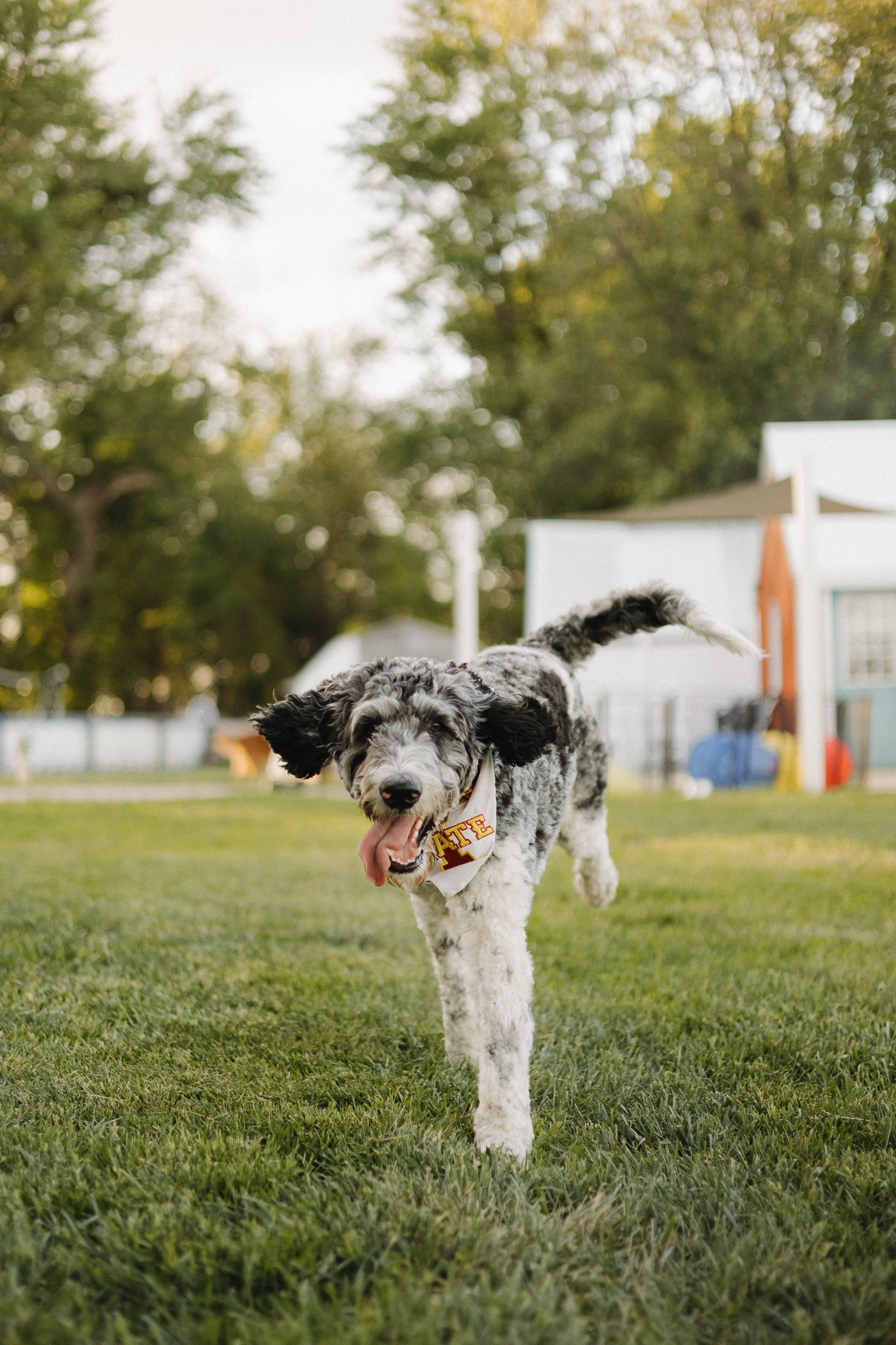 kobi-7686.jpg