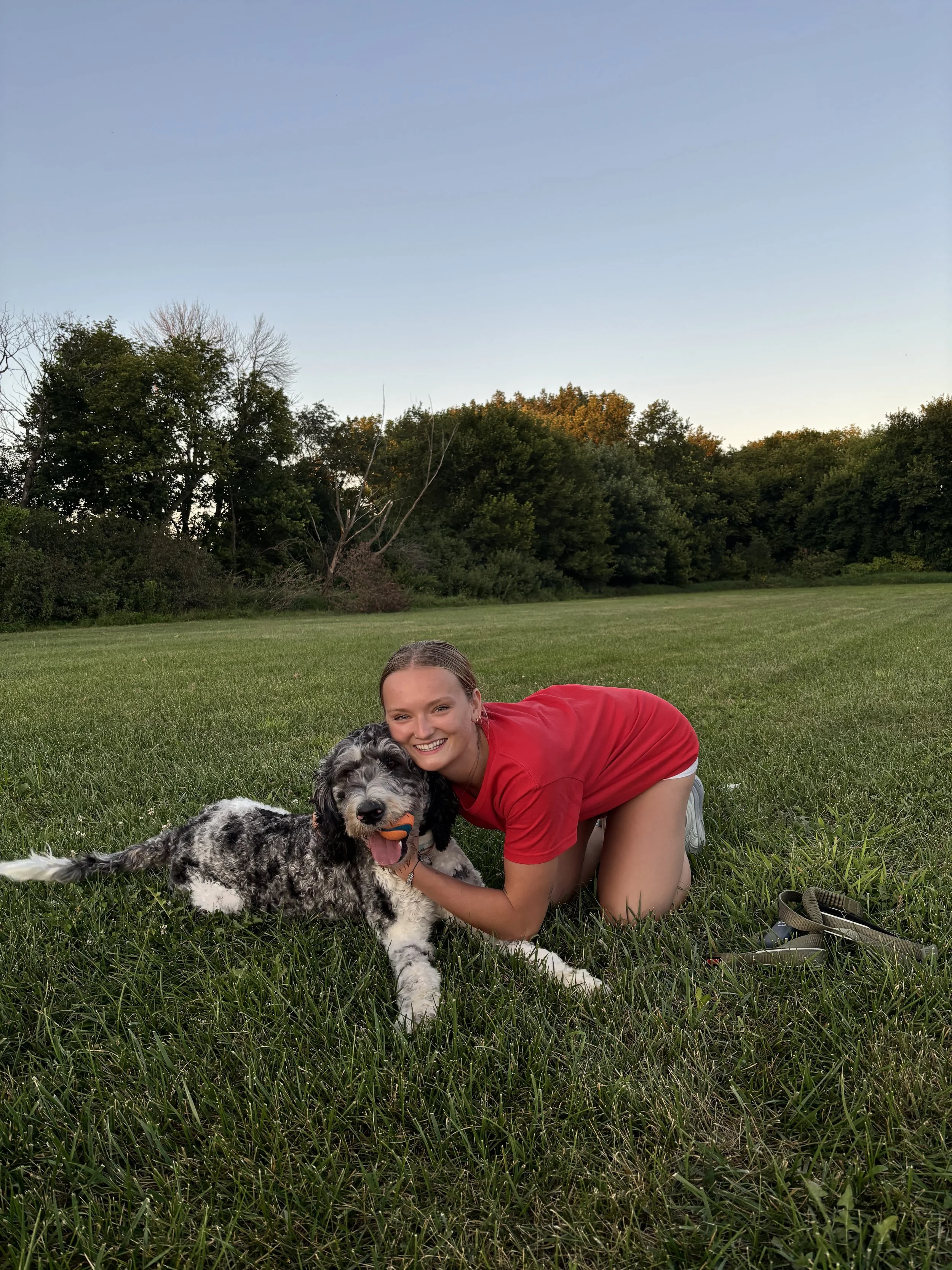 A woman crouching next to a large black and white dog on a grassy field at sunset.