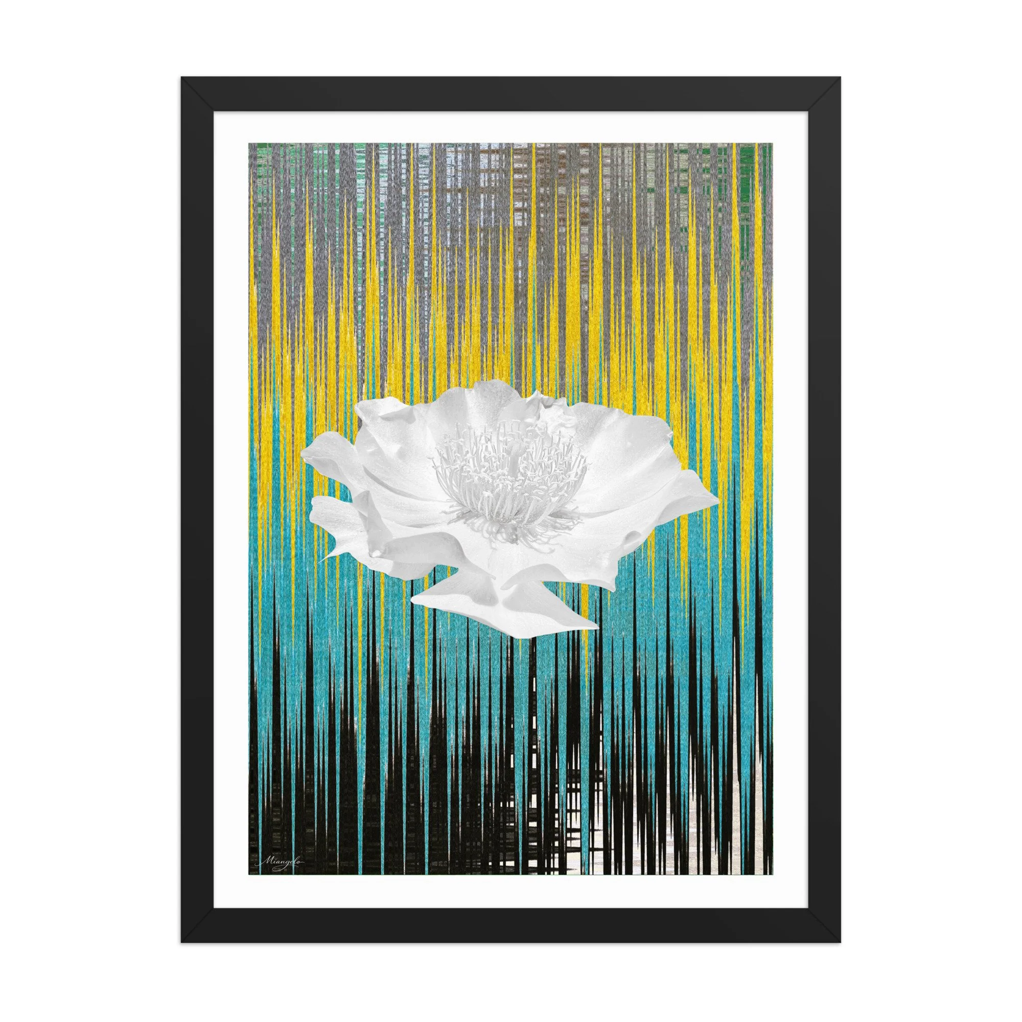 Framed poster Prickly Pear