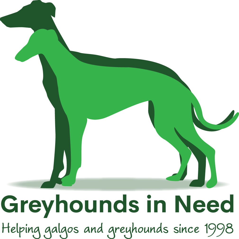 Greyhounds in Need