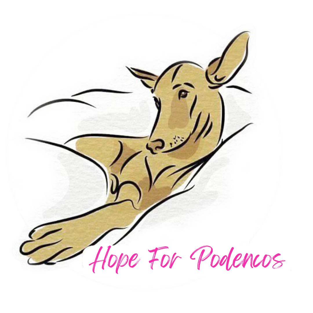 Hope For Podencos