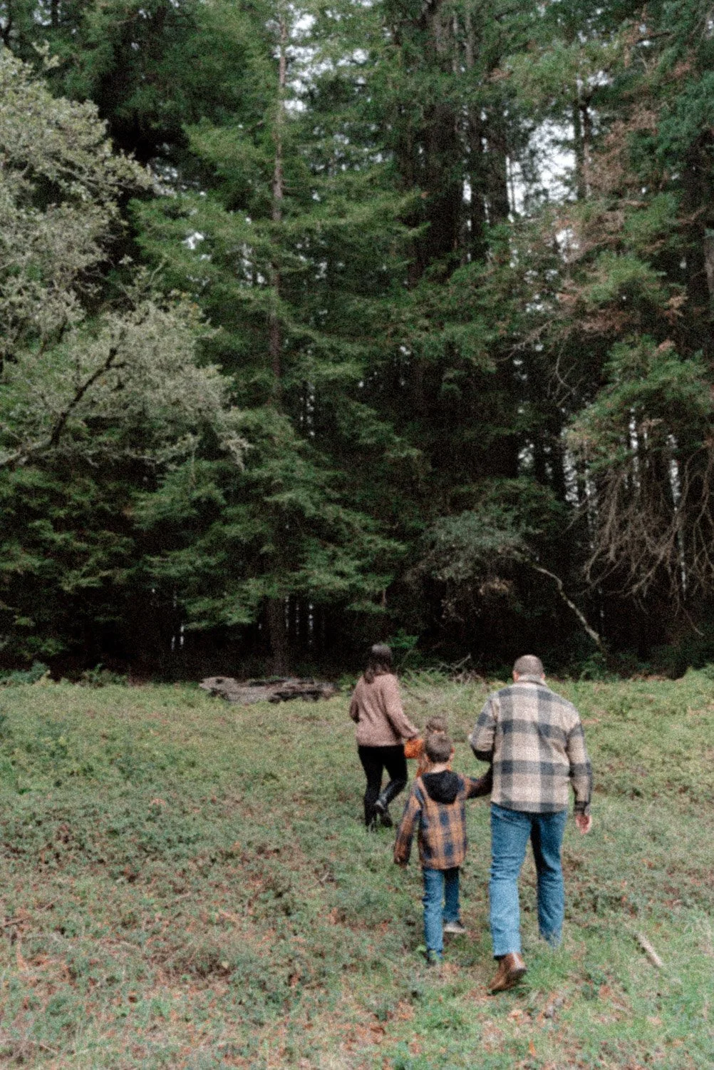 Redwoods Family Session