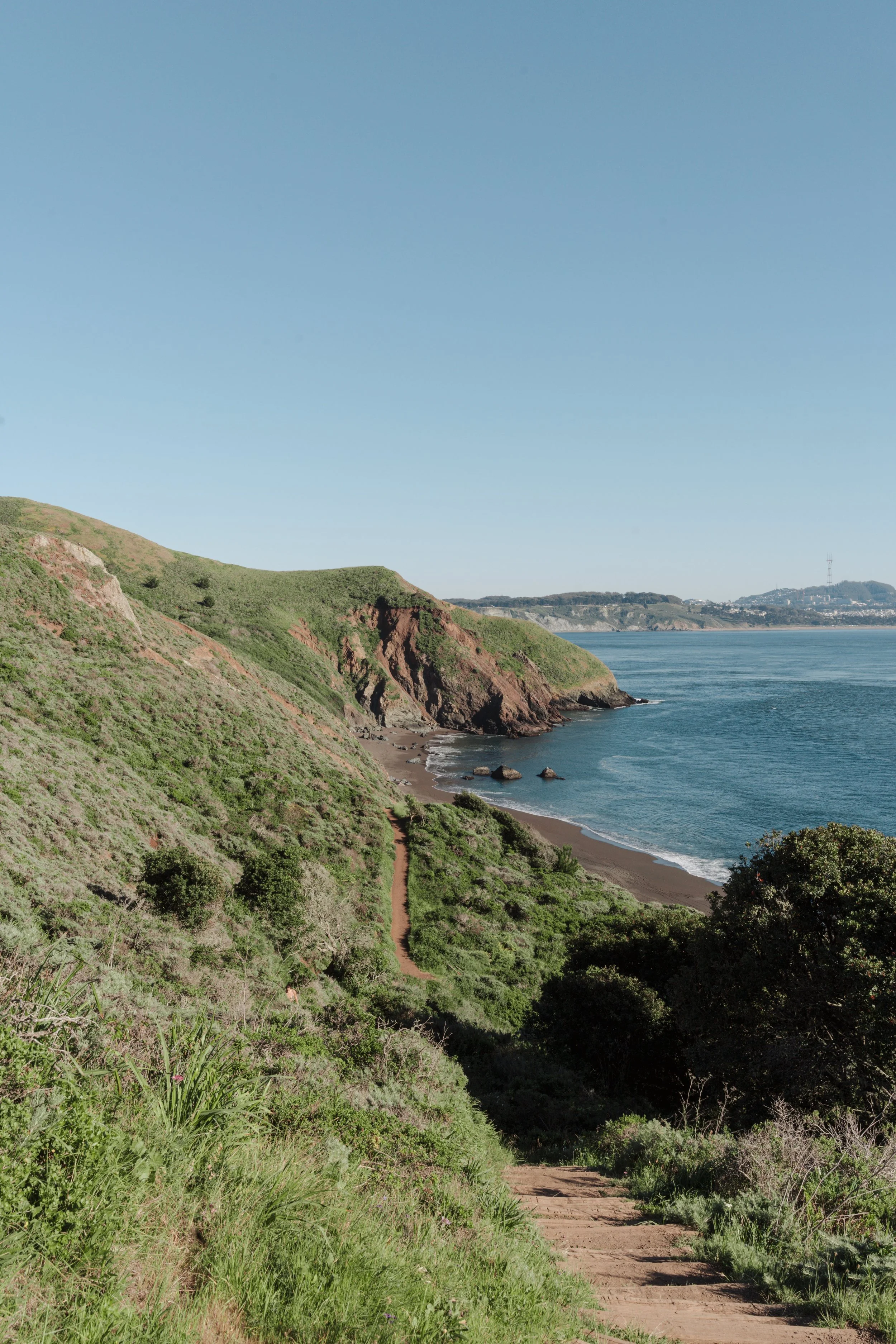 marin.jpeg