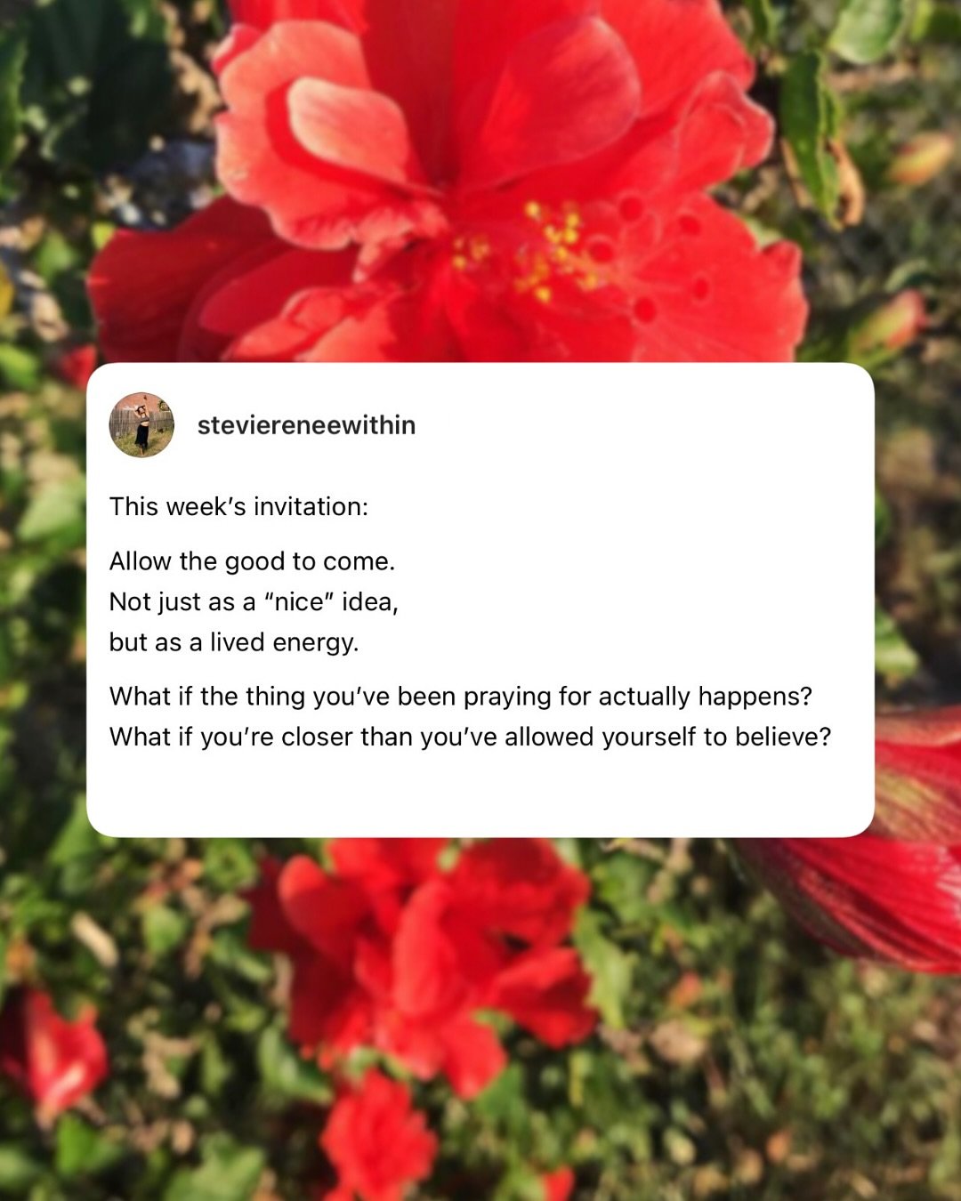 I know the world is burning.
But you don&rsquo;t have to downplay your dreams.
 Believing in your own breakthrough is a portal to collective healing, too.

#collectiveliberation #collectivewellbeing #consciousmanifestation #gemininewmoon #hopeisresis