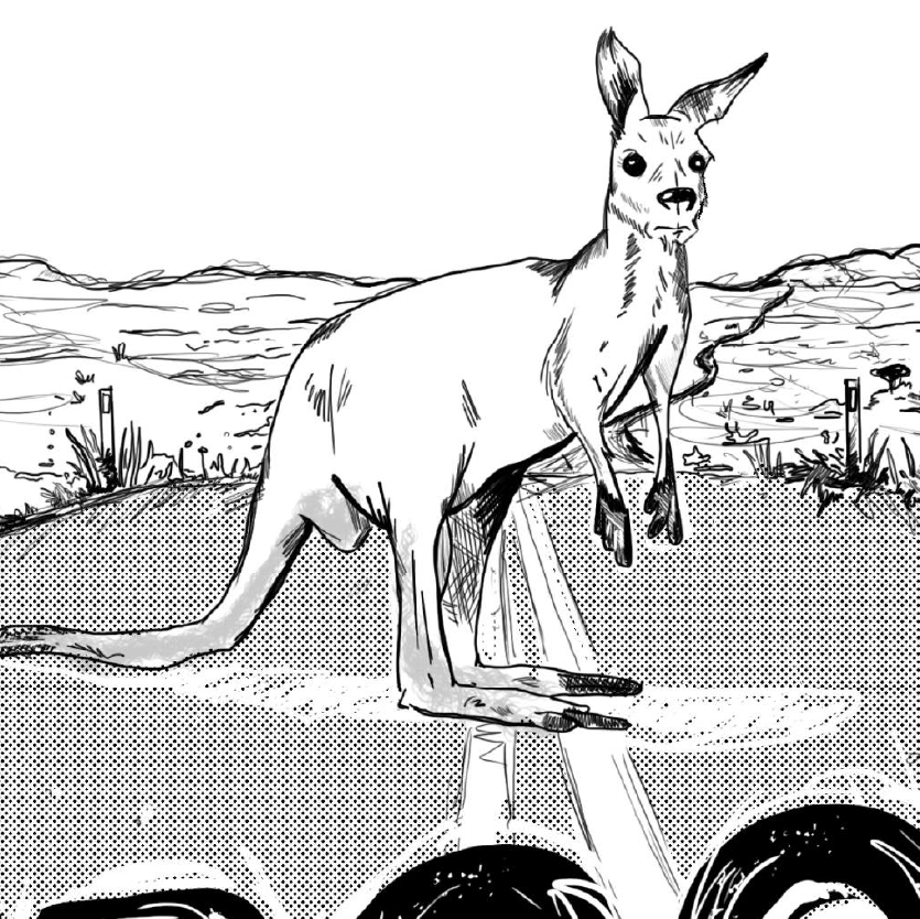 Illustration of a kangaroo on a road with a desert landscape background.