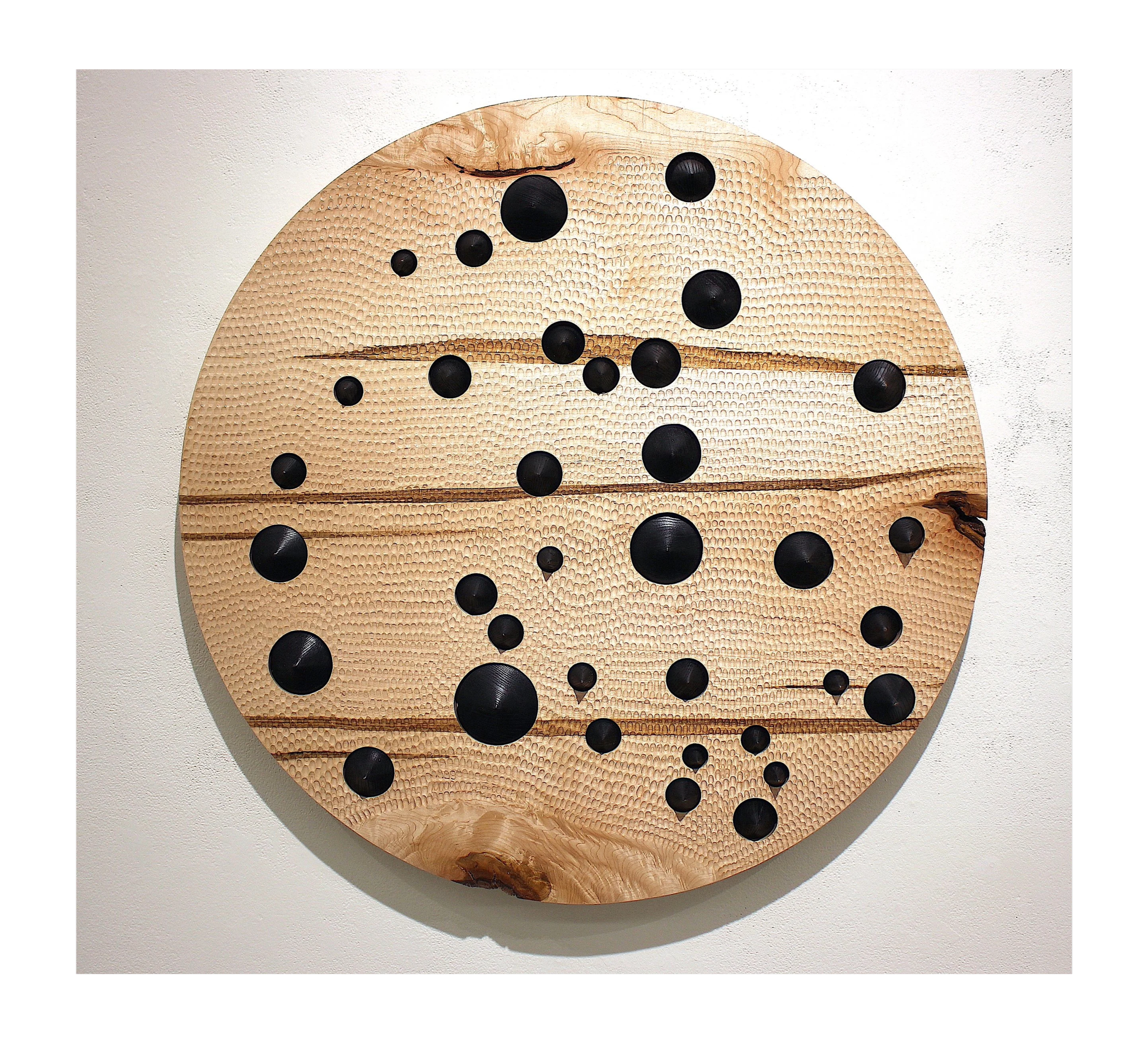 See the Forest for the Trees