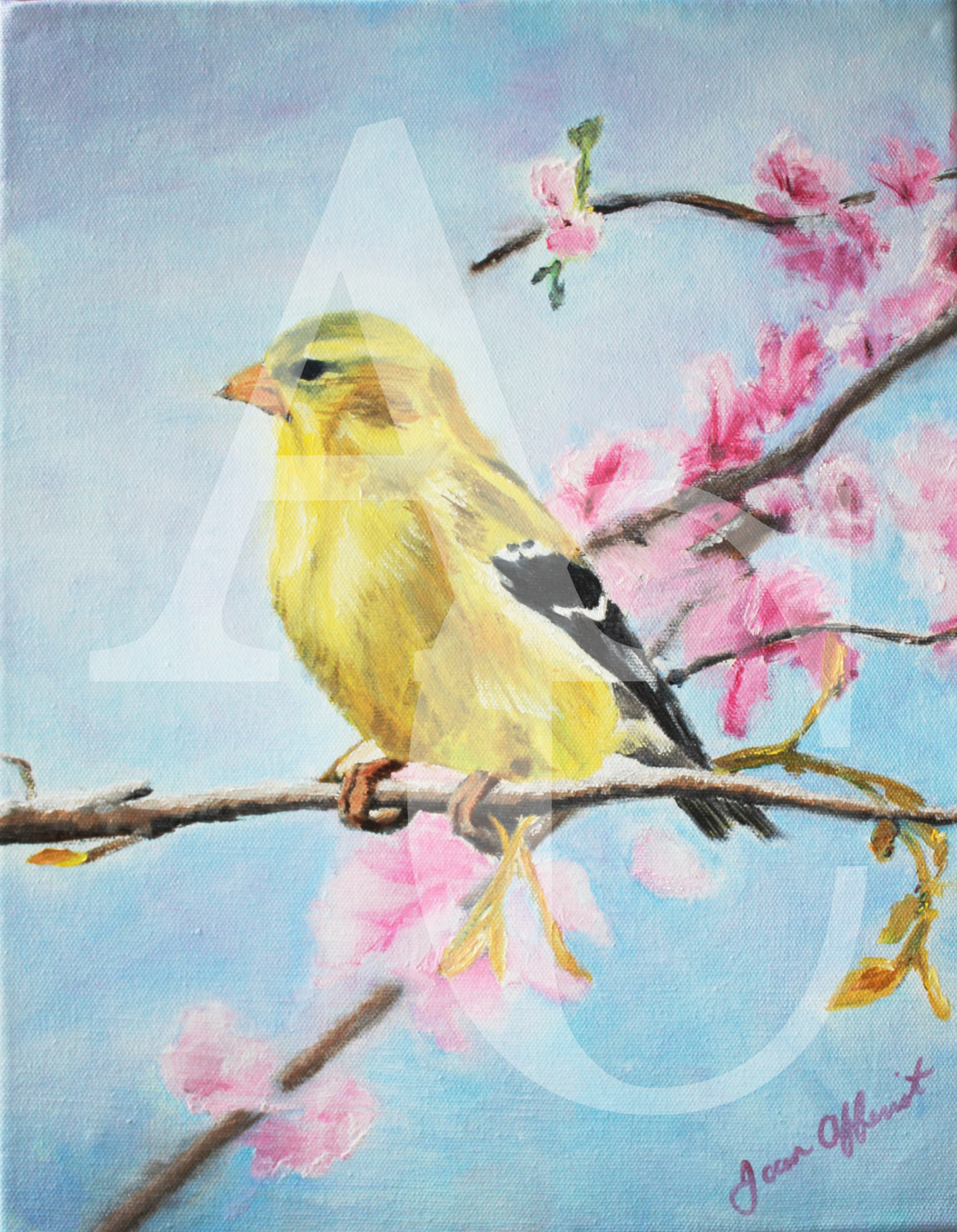 Golden Finch-small.png
