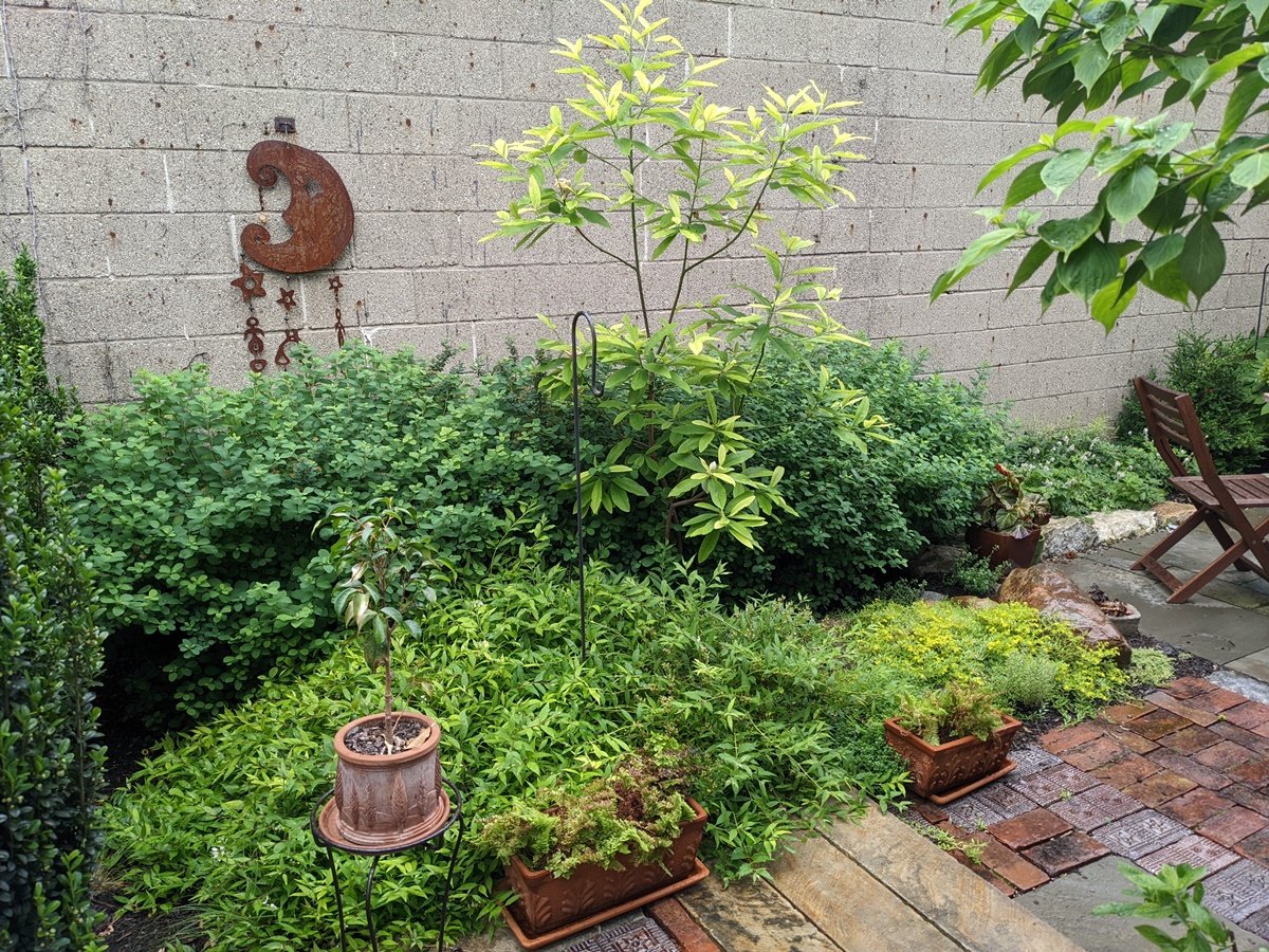 A rustic piece of art in the shape of a crescent moon hangs on the plain concrete wall, acting as a backdrop to lush garden plantings