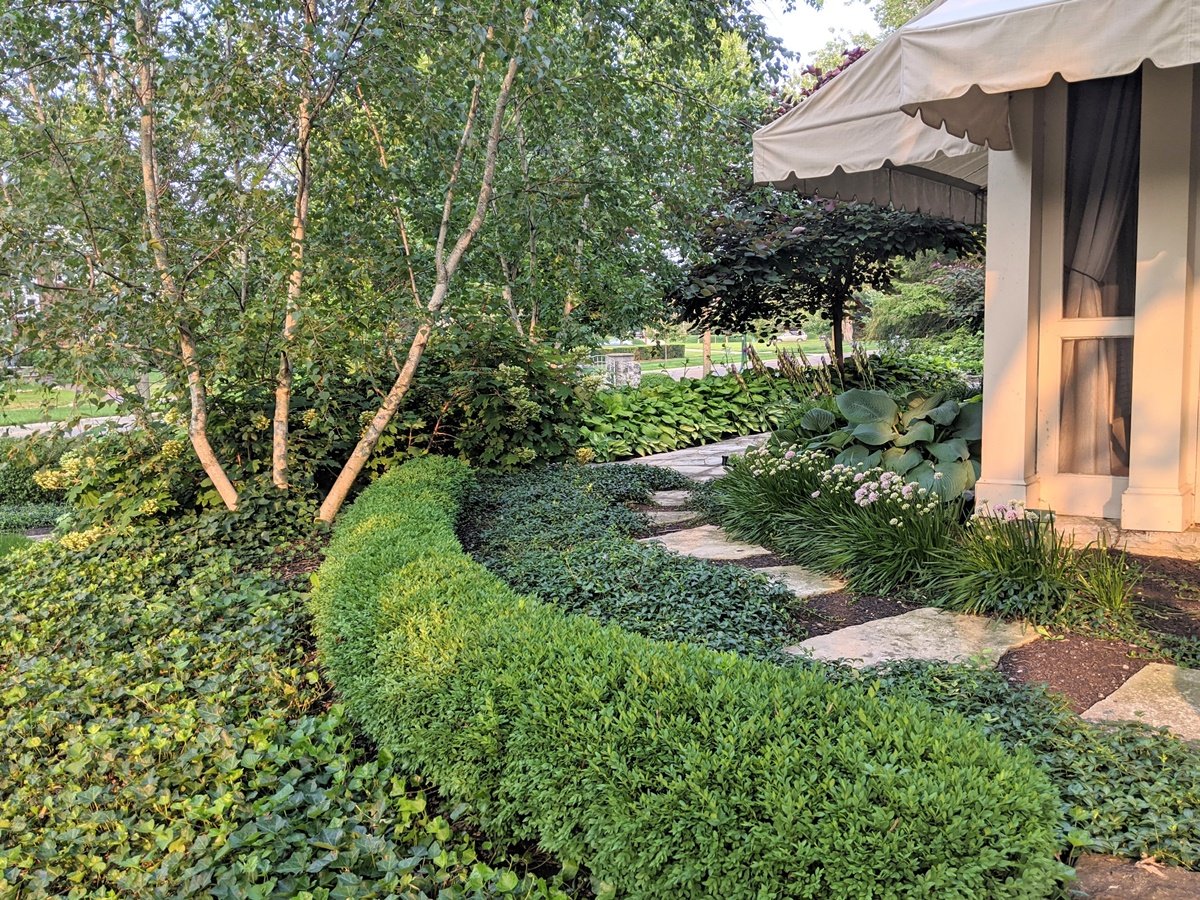 To the left corner of the screened porch, a beautiful arc of low boxwood swoops around to the left paralleling a irregular flagstone path in a blanket of vinca ground cover